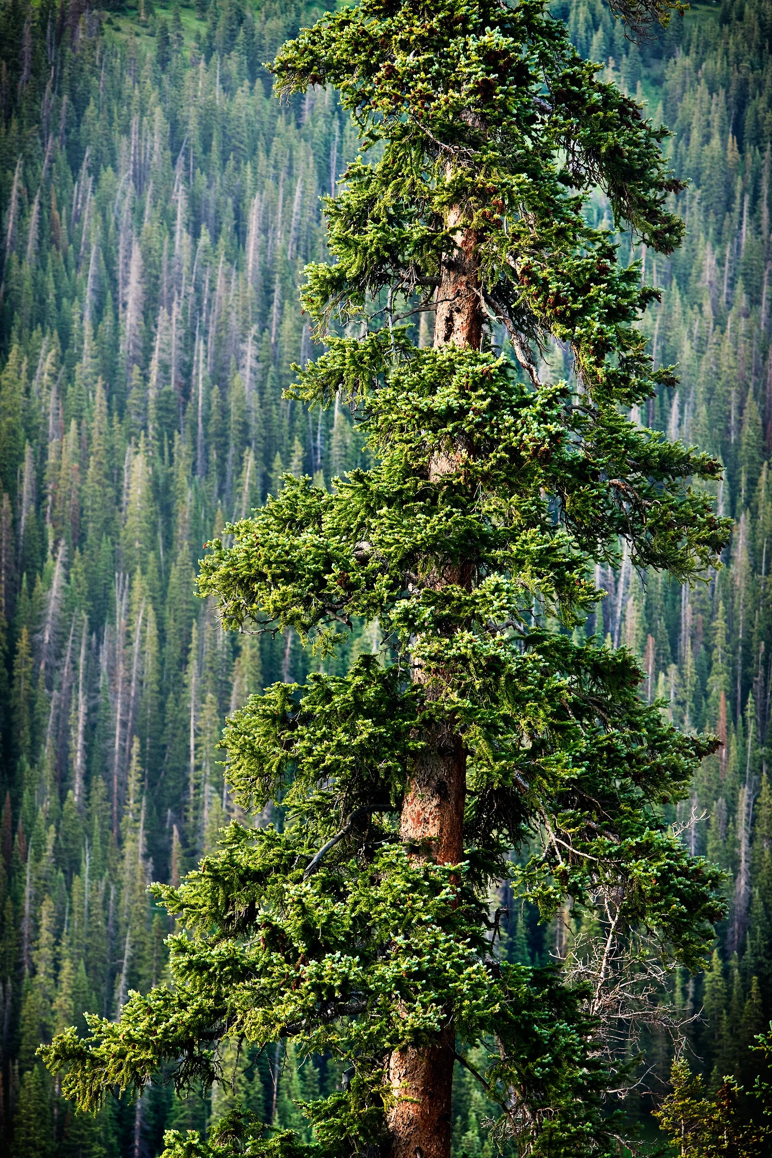 09072670_acr_web.jpg
