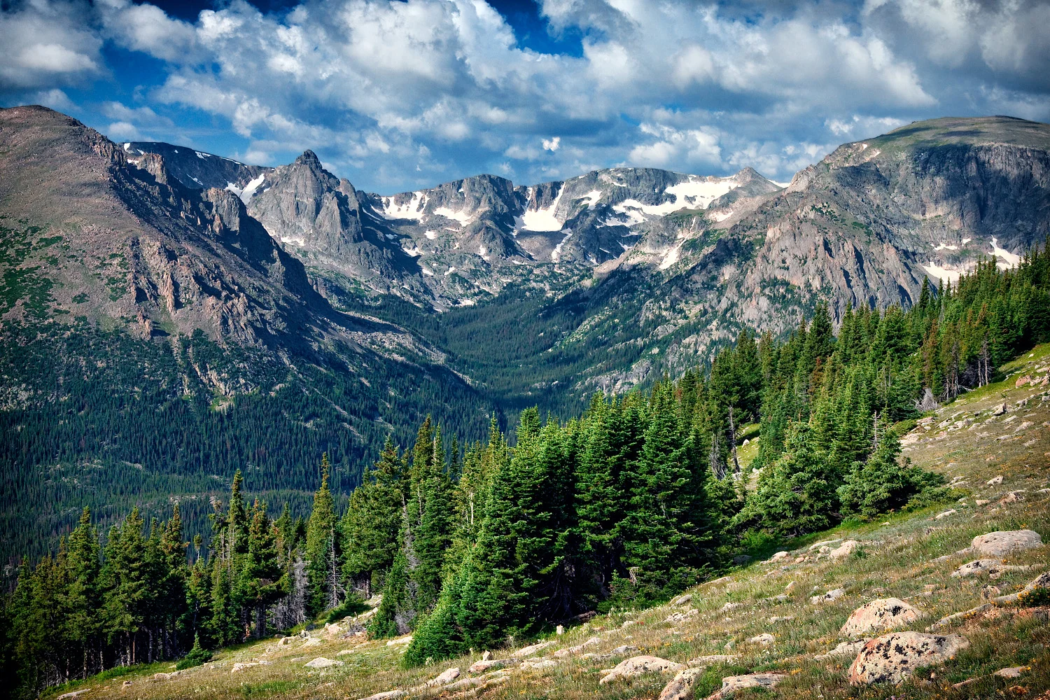 09072387_acr_ALT_web.jpg