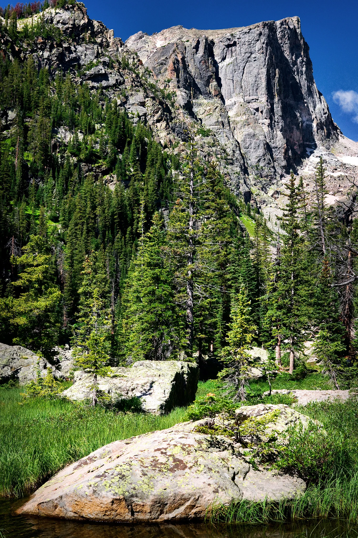 09072596_acr_web.jpg