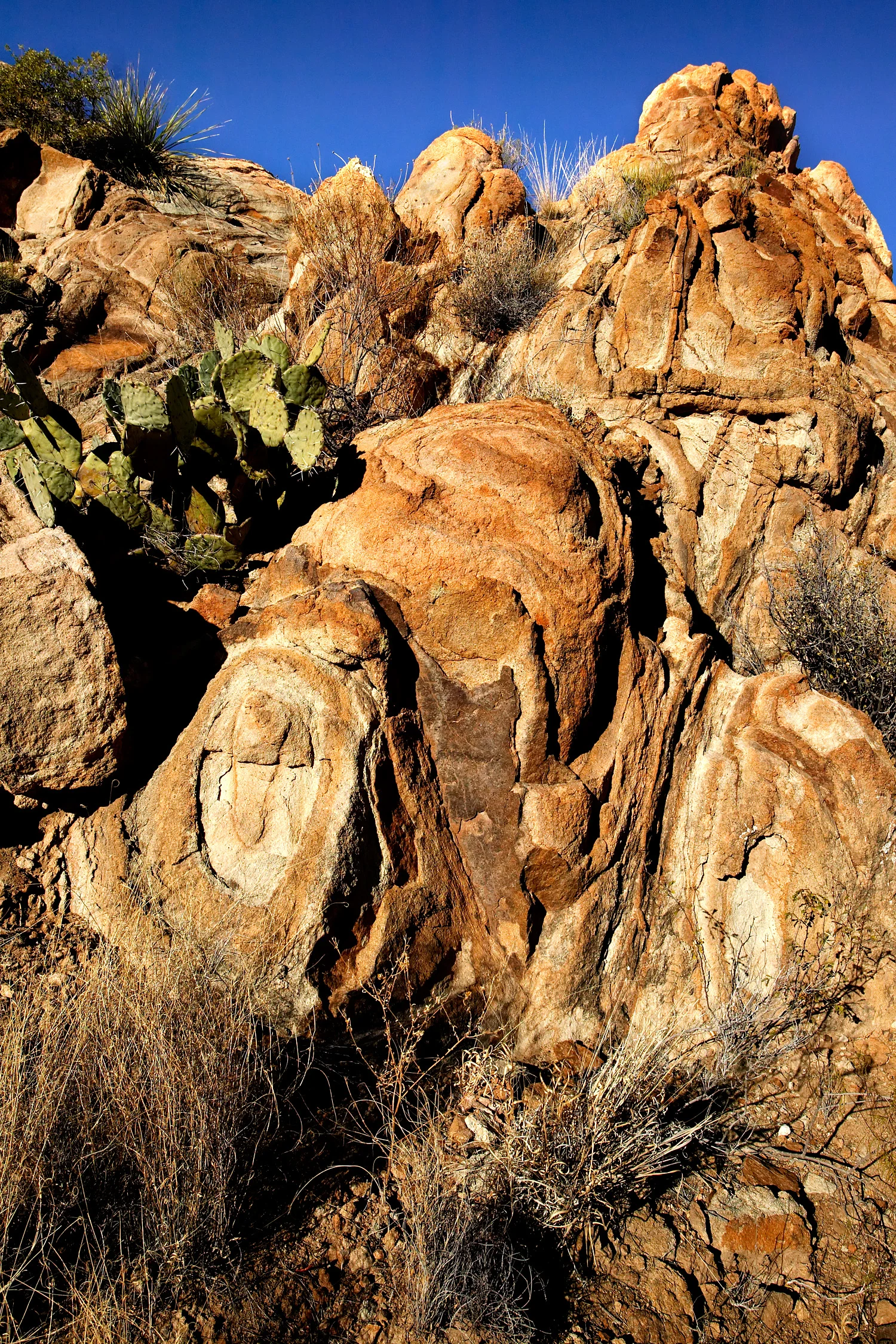 06015175_c1.jpg
