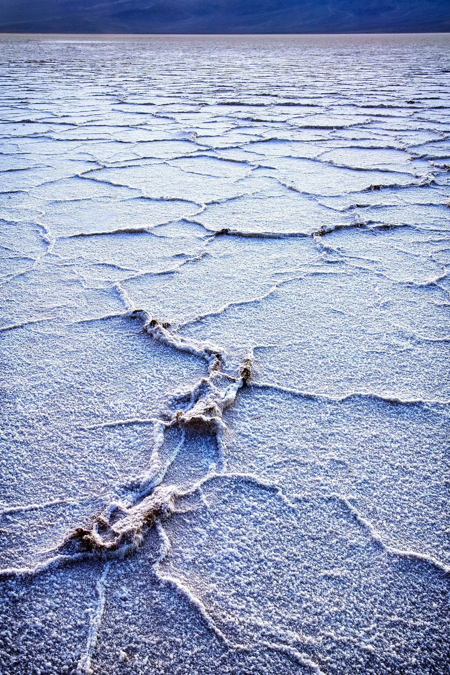 07016404_c1_web.jpg