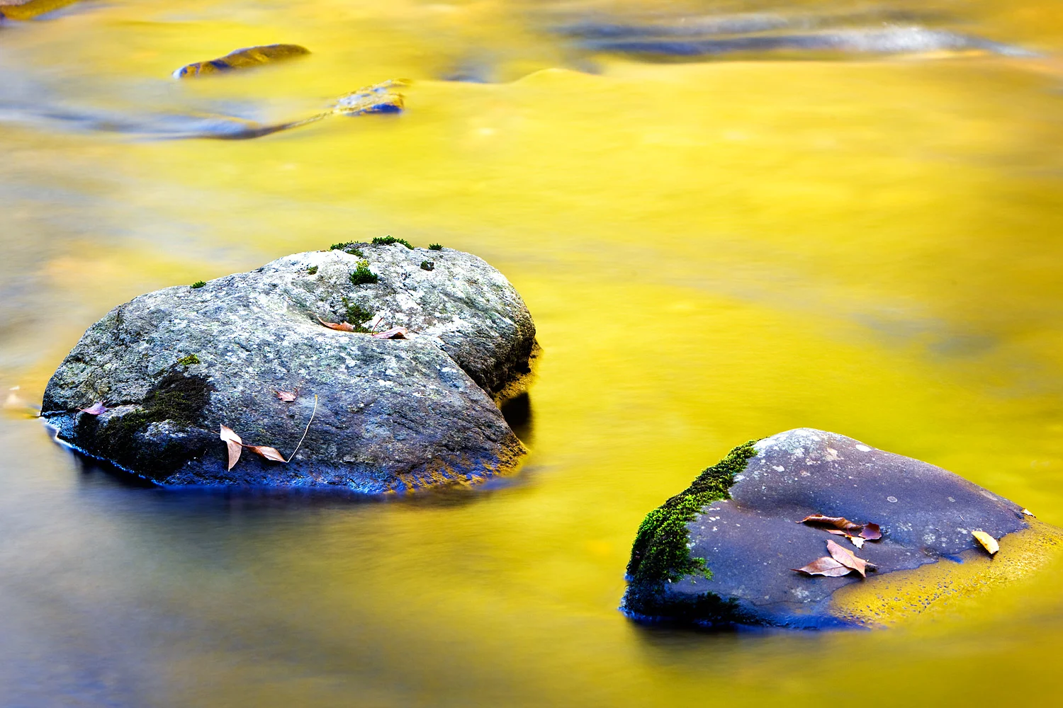 08101600_acr.jpg