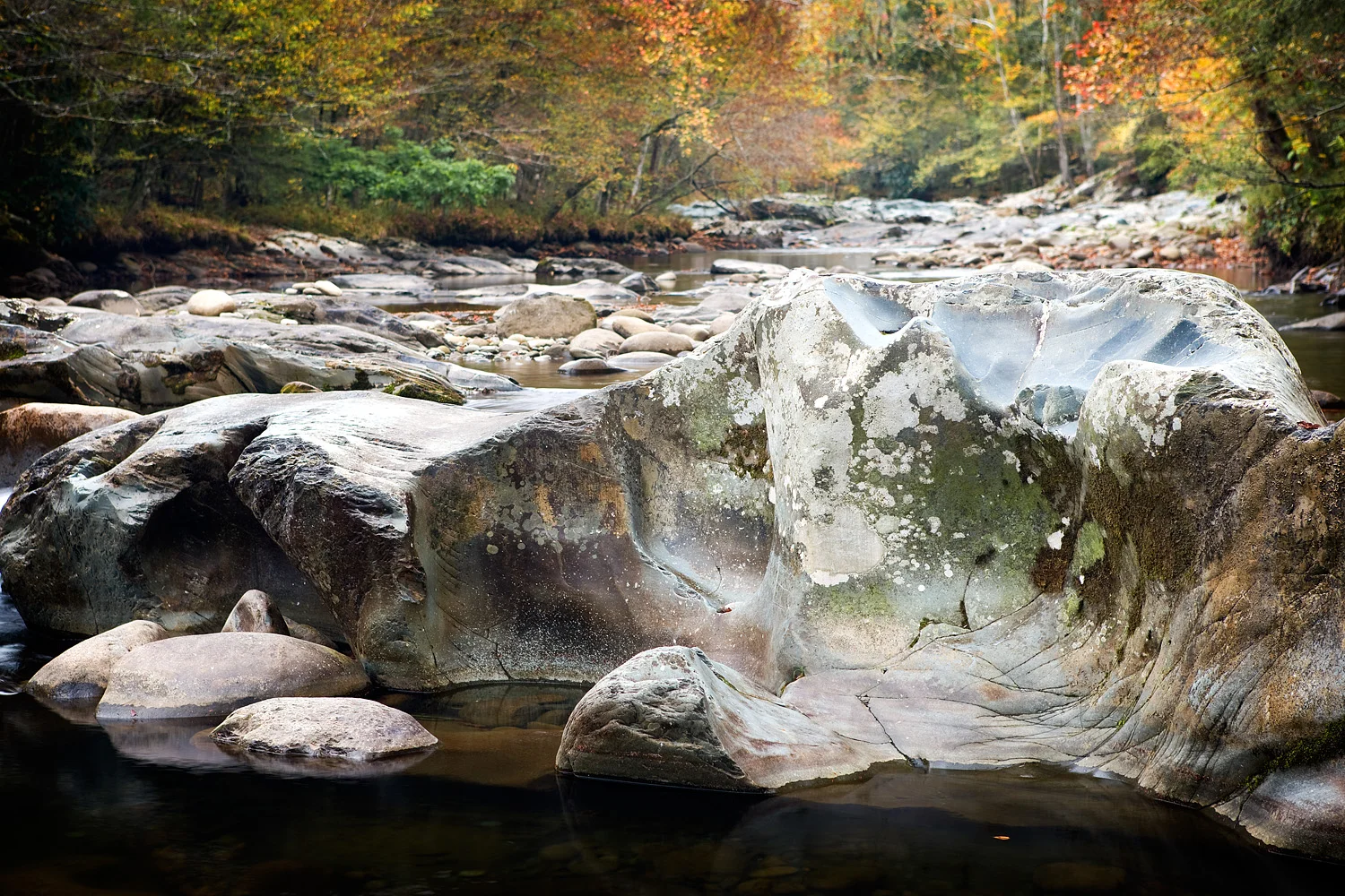 08101510_acr.jpg