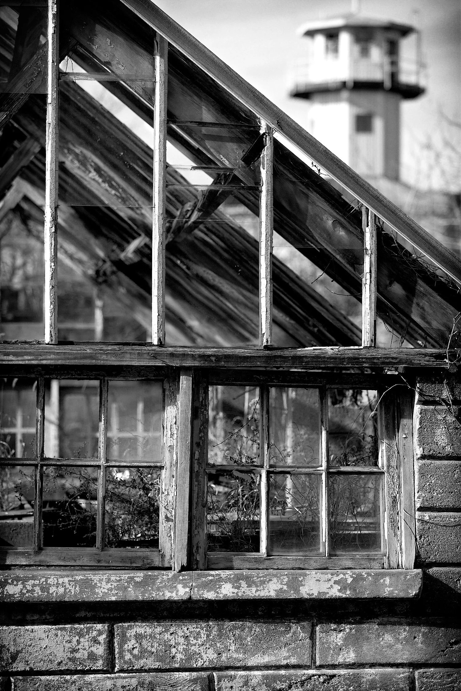 04112479_c1_b&w.jpg