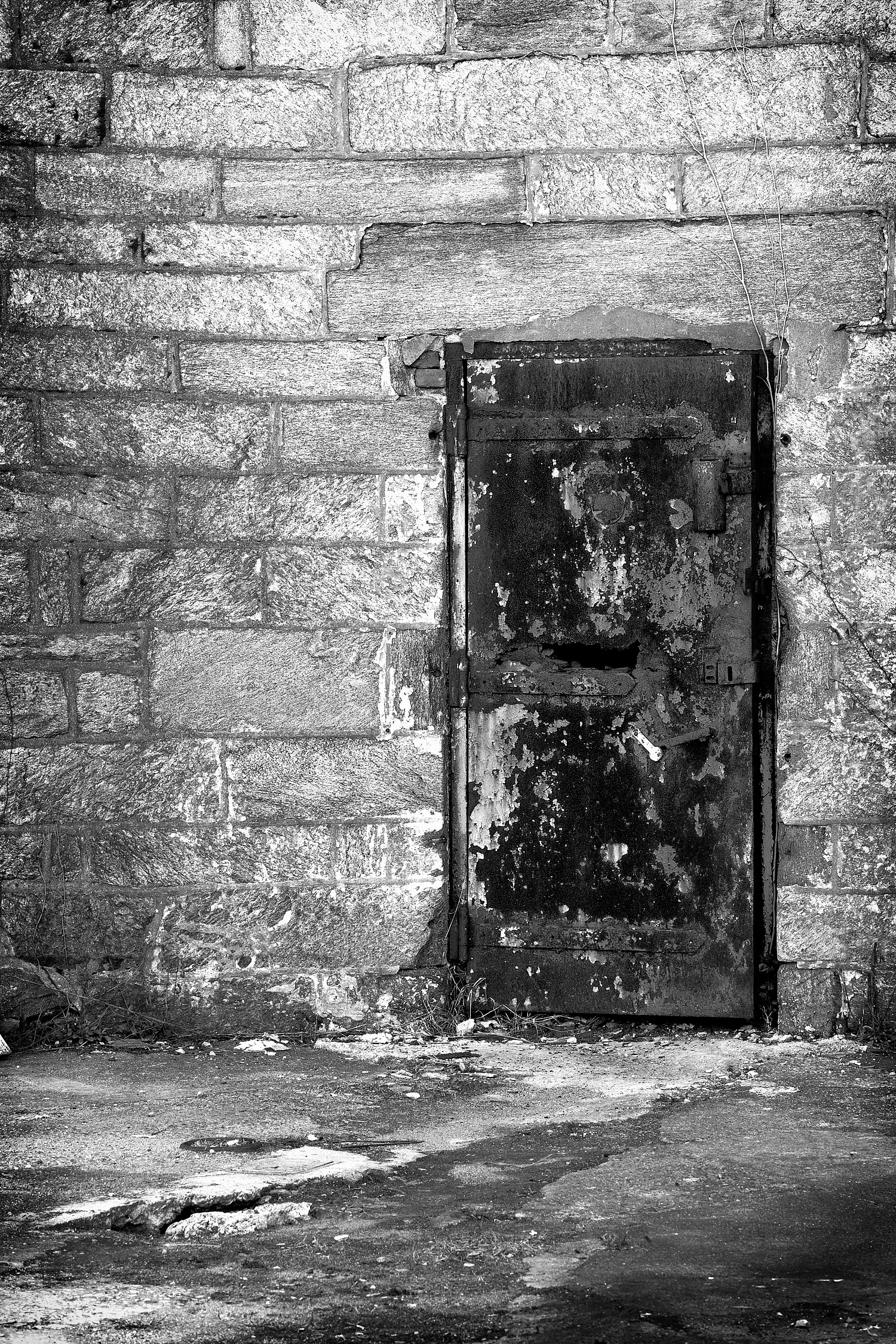 04112477_c1_b&w.jpg