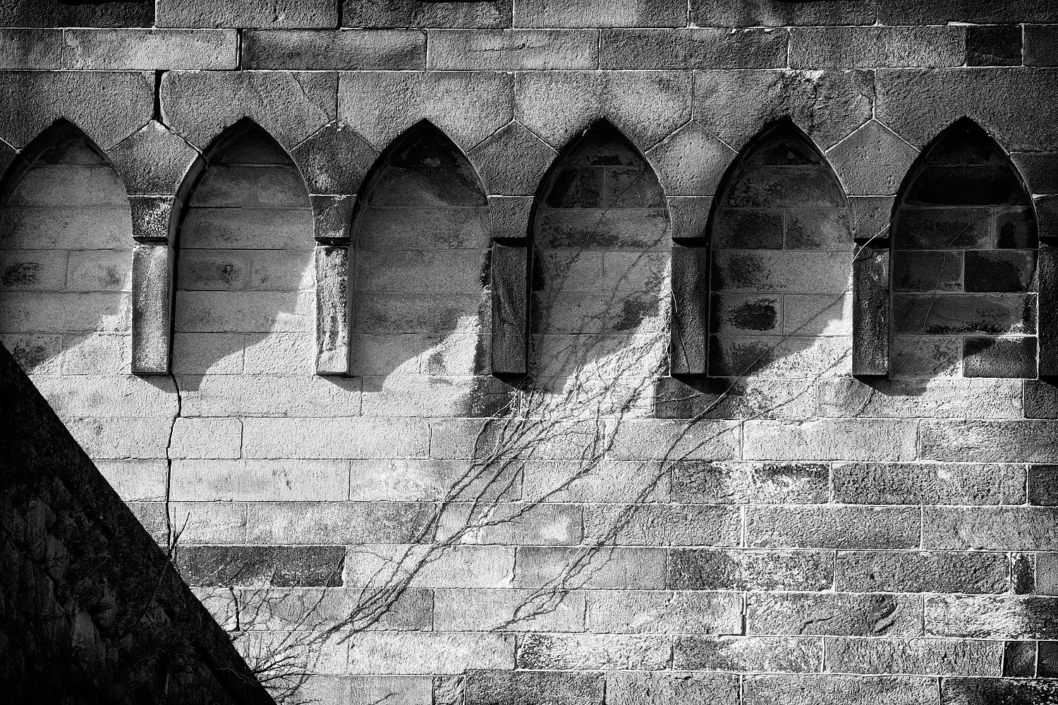 04112475_c1_b&w.jpg