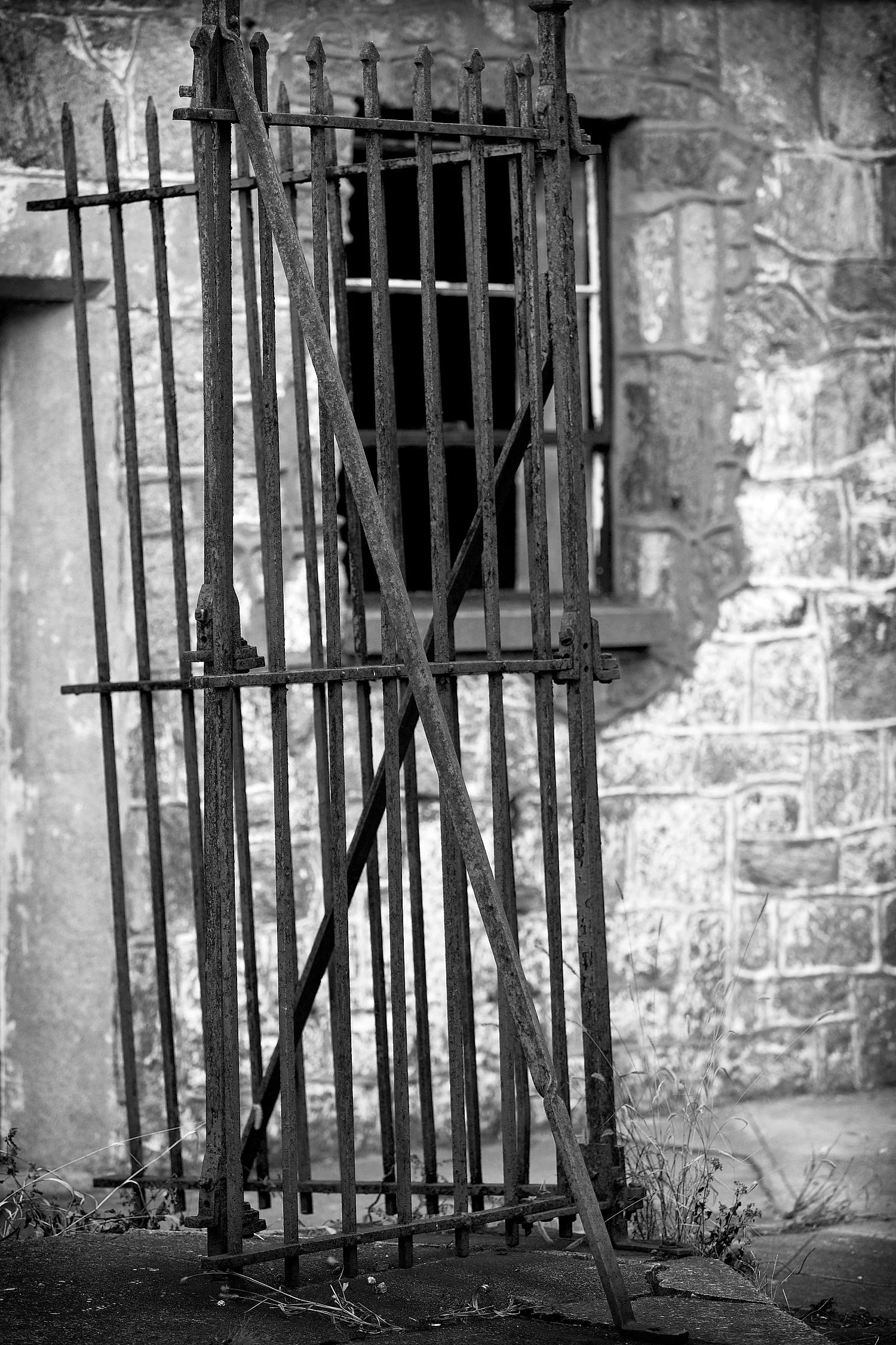 04112471_c1_b&w.jpg