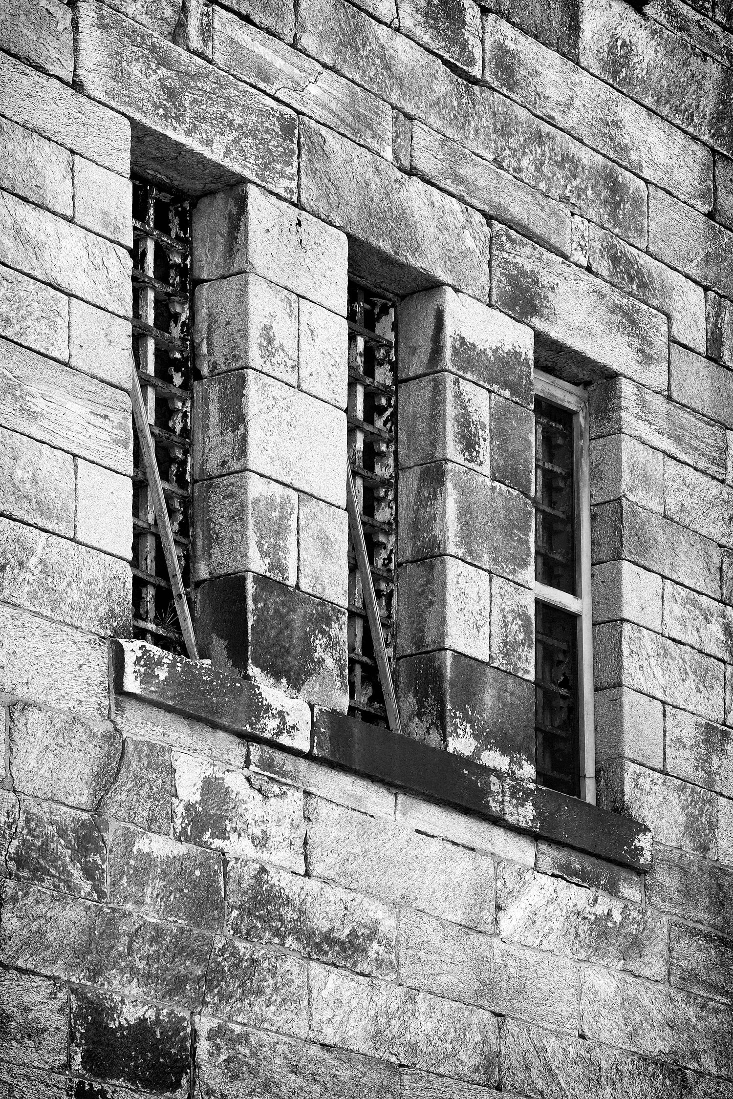 04112468_c1_b&w.jpg