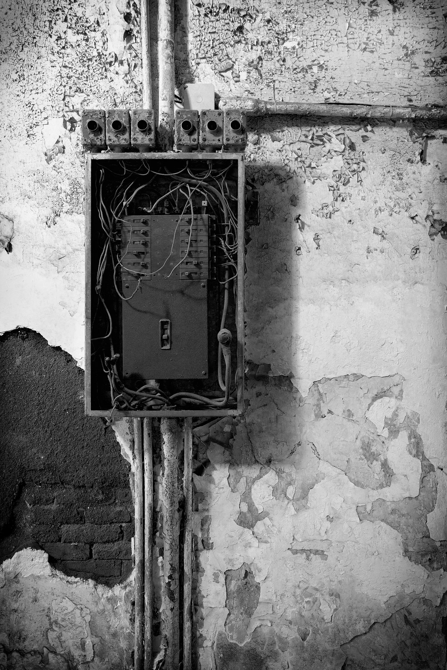 04082075_c1_b&w.jpg