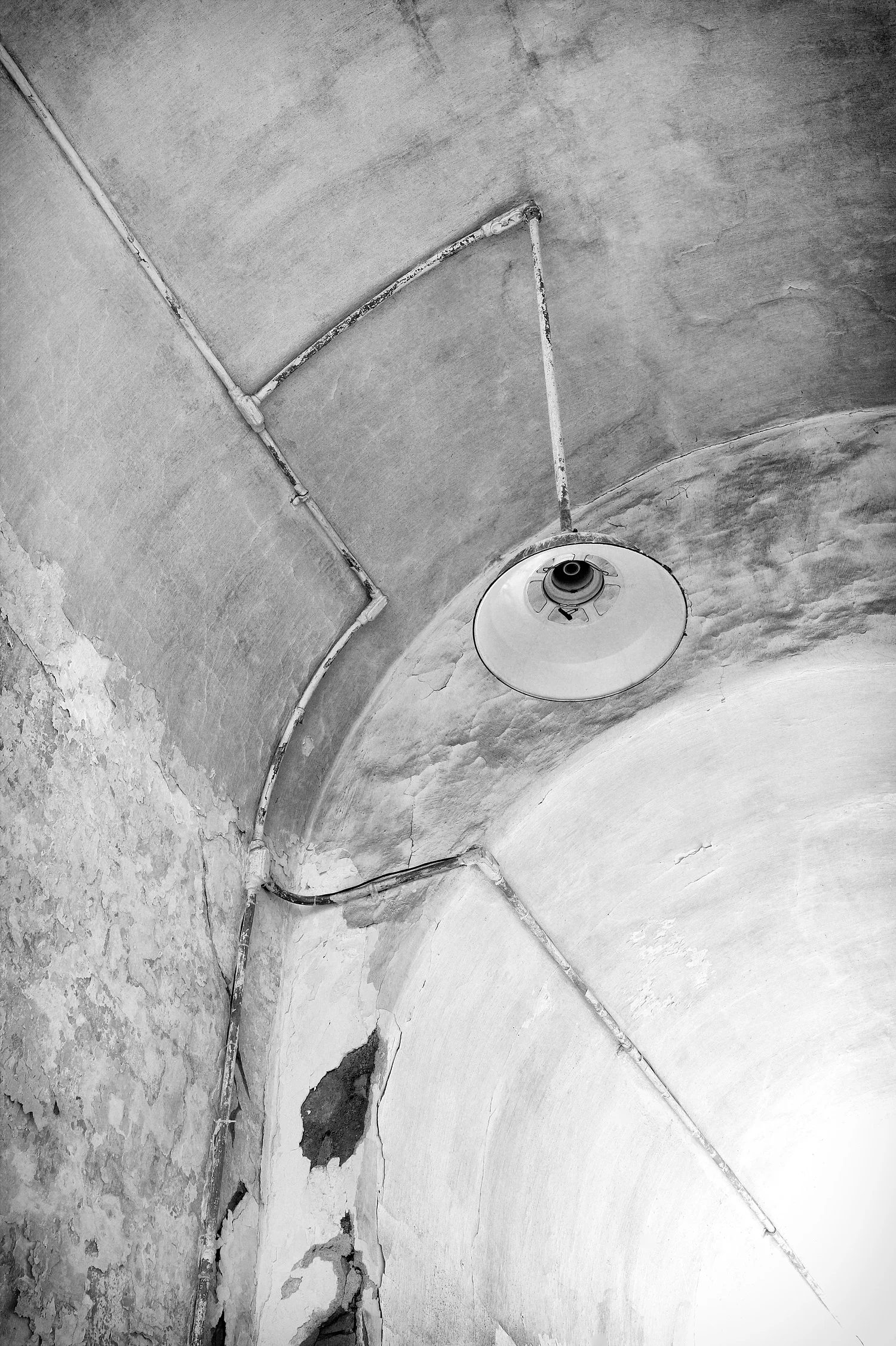 04082038_c1_b&w.jpg