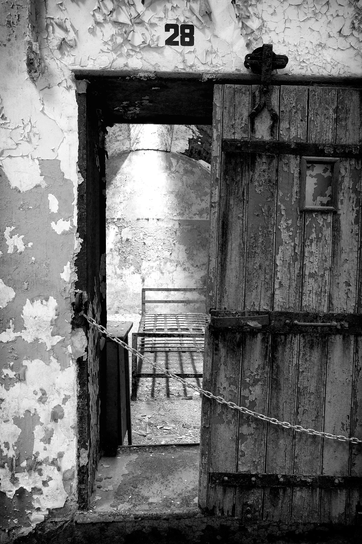 04061672_c1_b&w.jpg