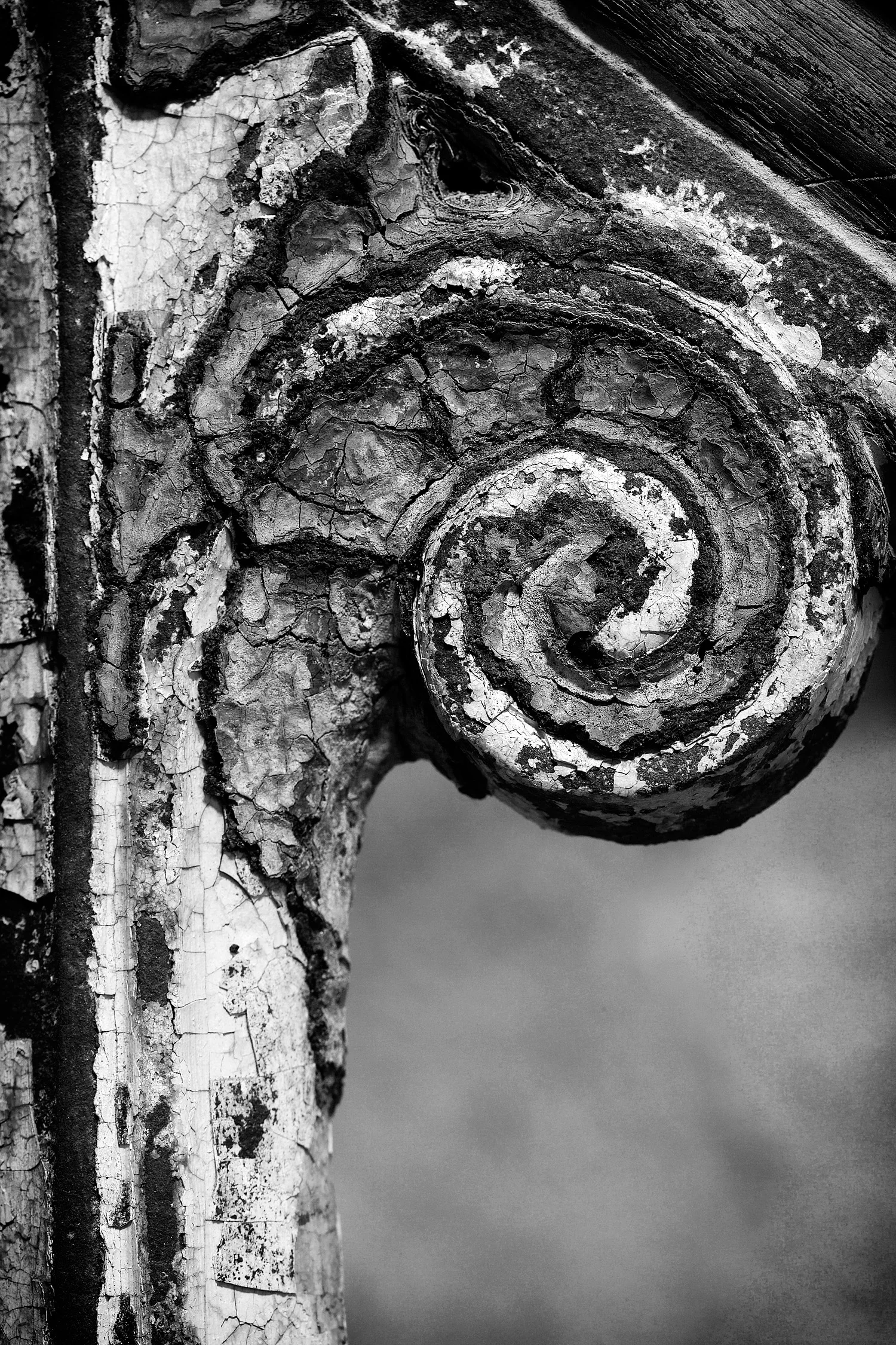 04061684_c1_b&w.jpg
