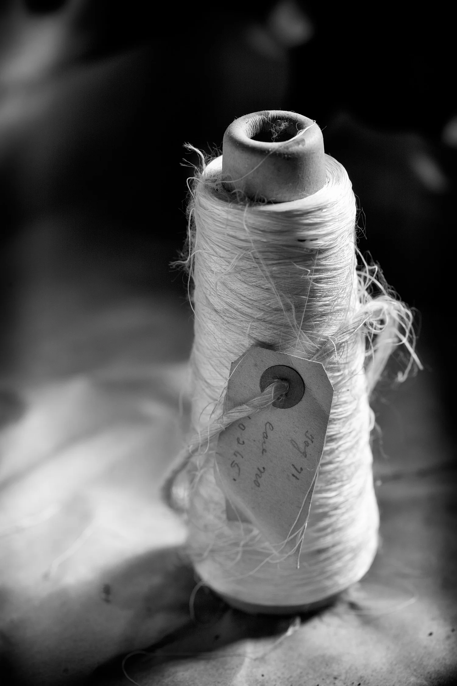 12025106_acr_bw.jpg