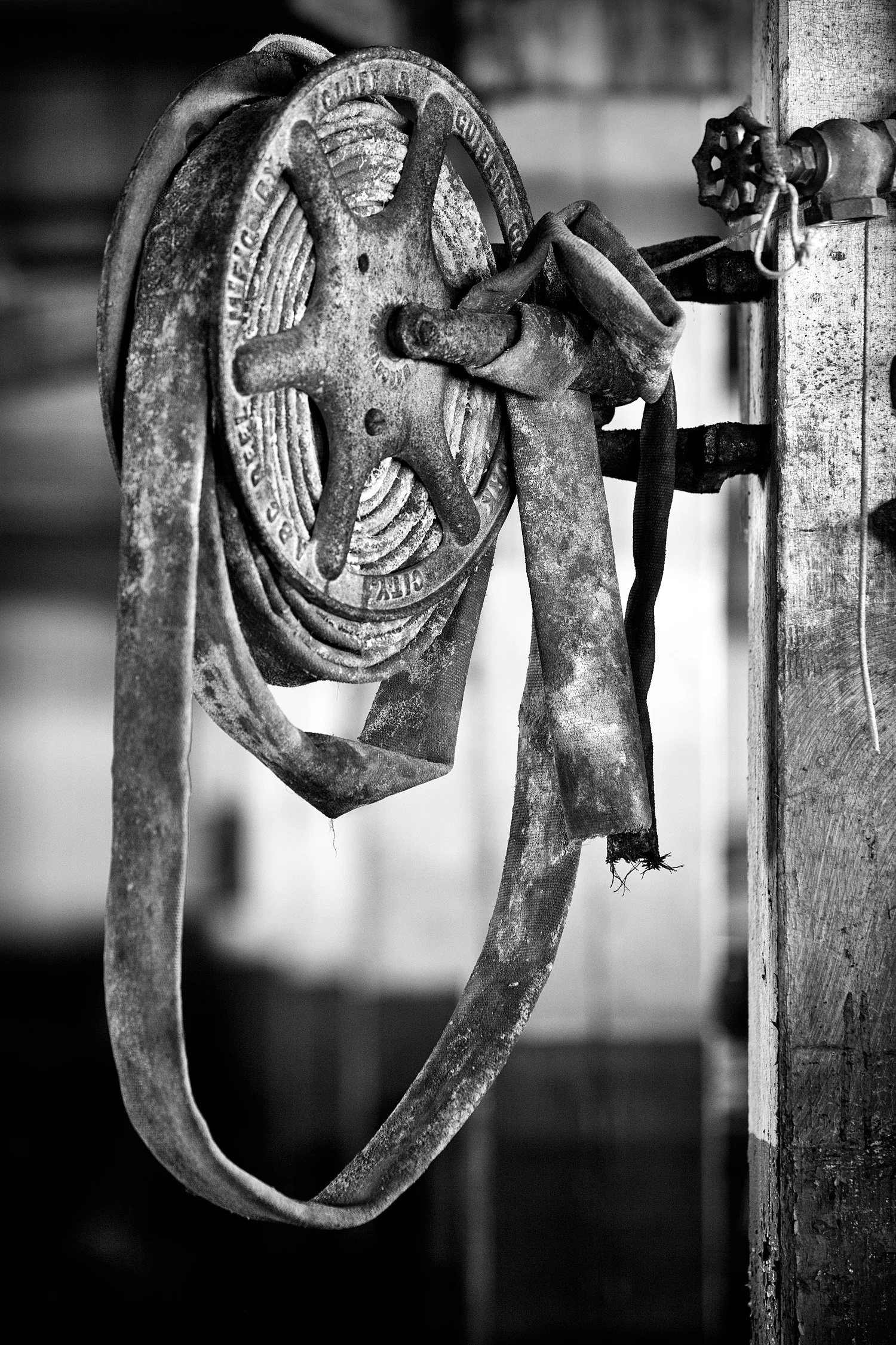 12025047_acr_bw.jpg