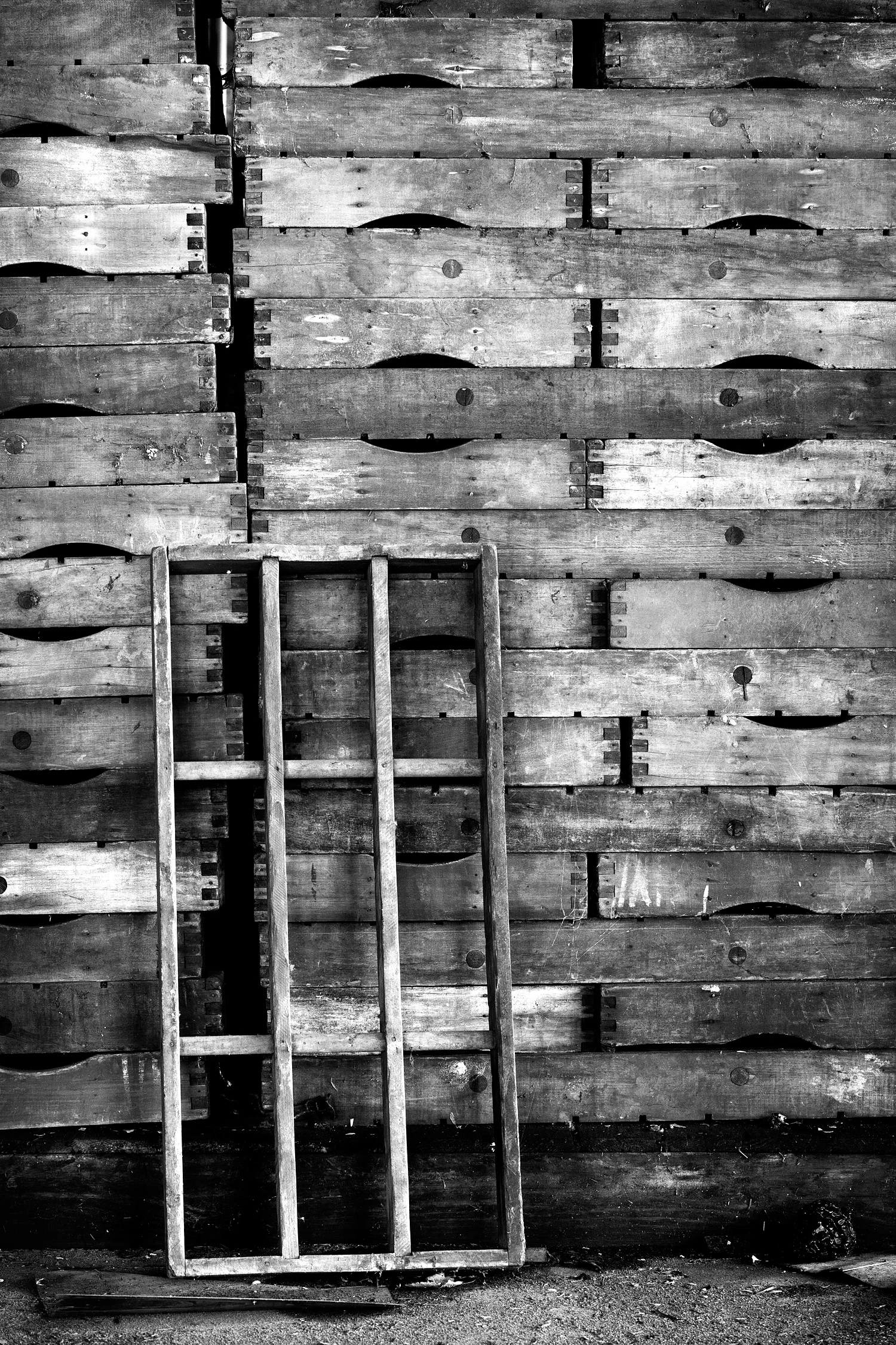 12025036_acr_bw.jpg