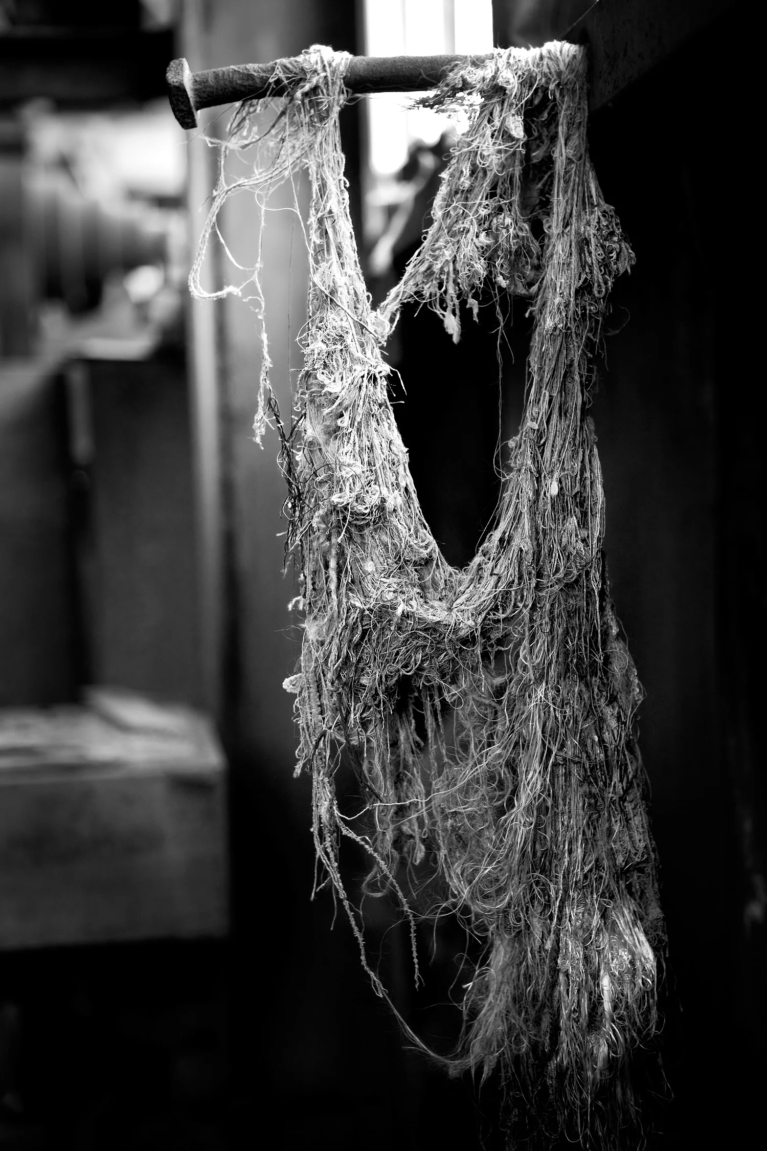 08030065_acr_b&w.jpg