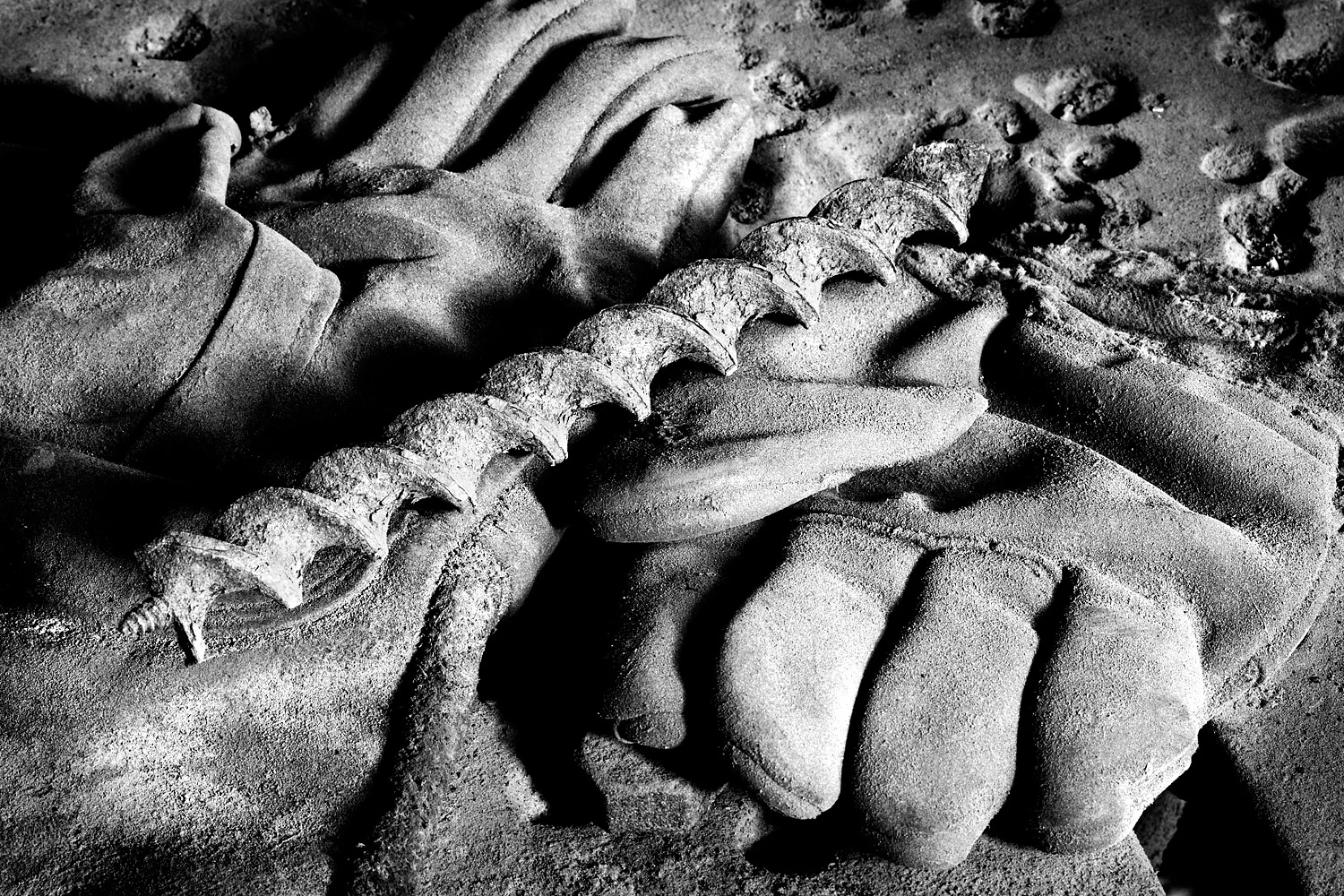 07077256_acr_crop1_b&w.jpg