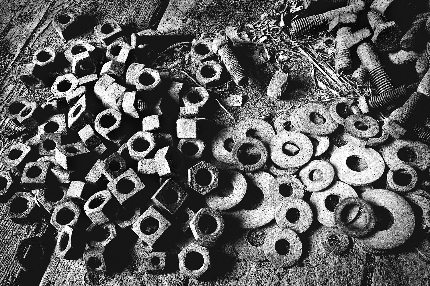 07067236_acr_b&w.jpg