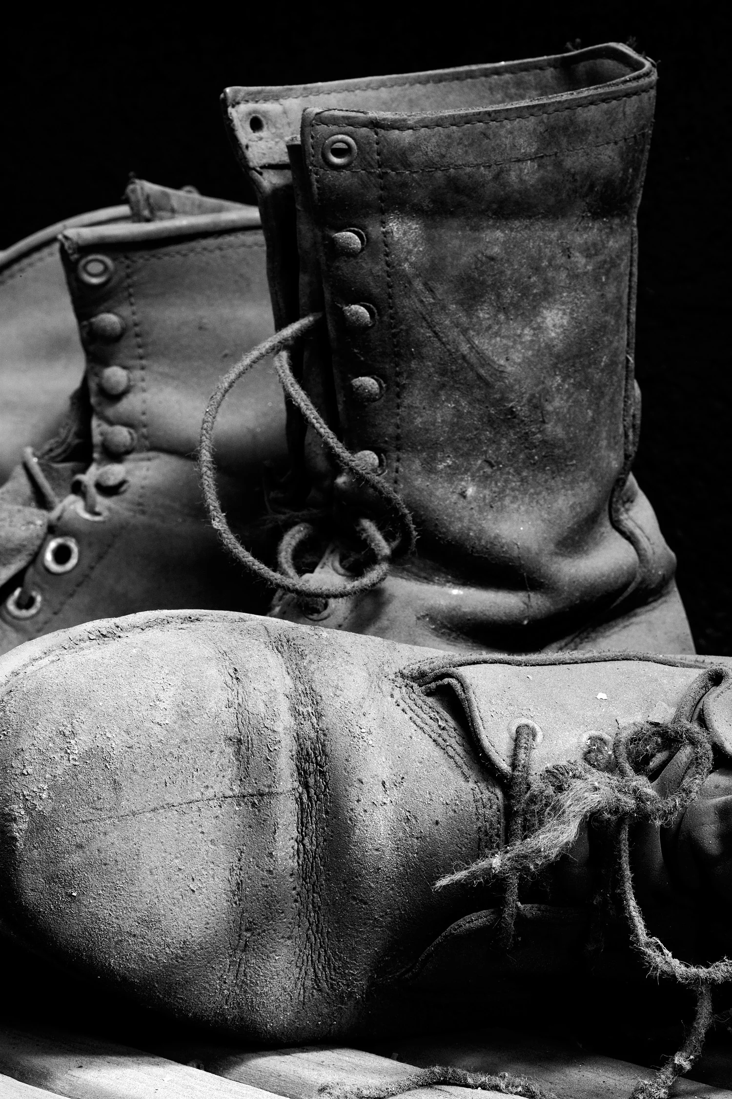 07067205_acr_b&w.jpg