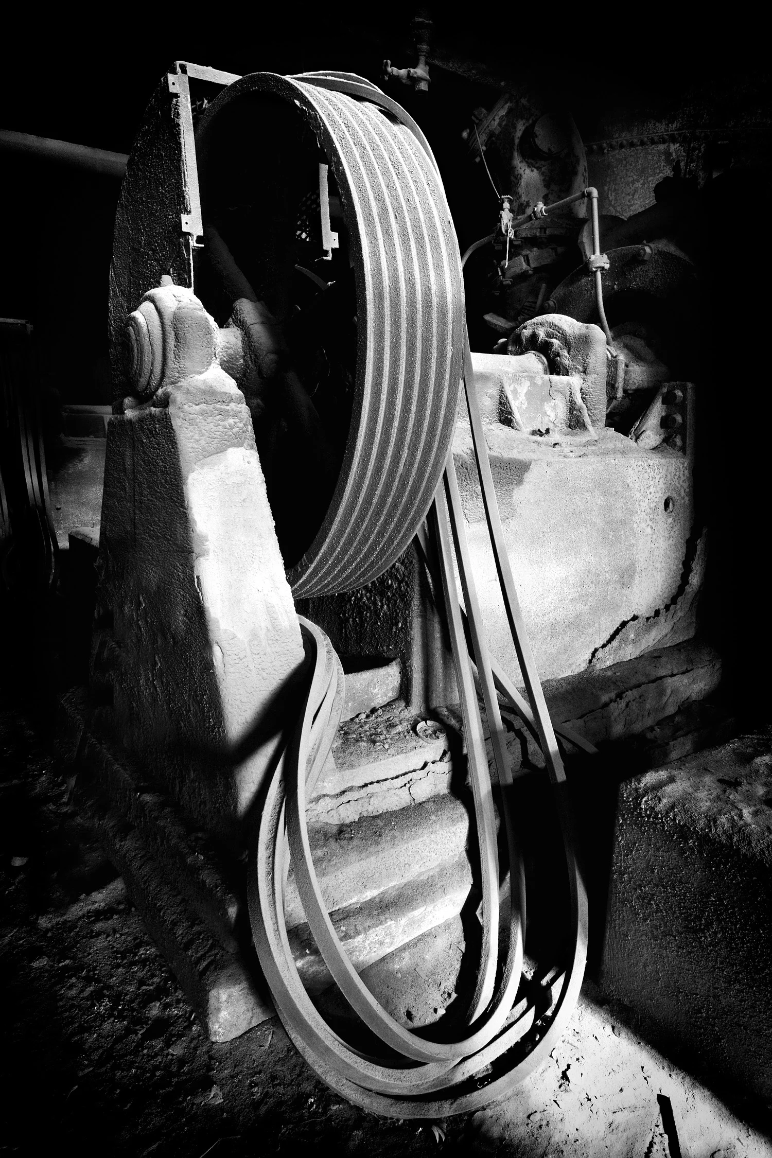 07067127_acr_b&w.jpg