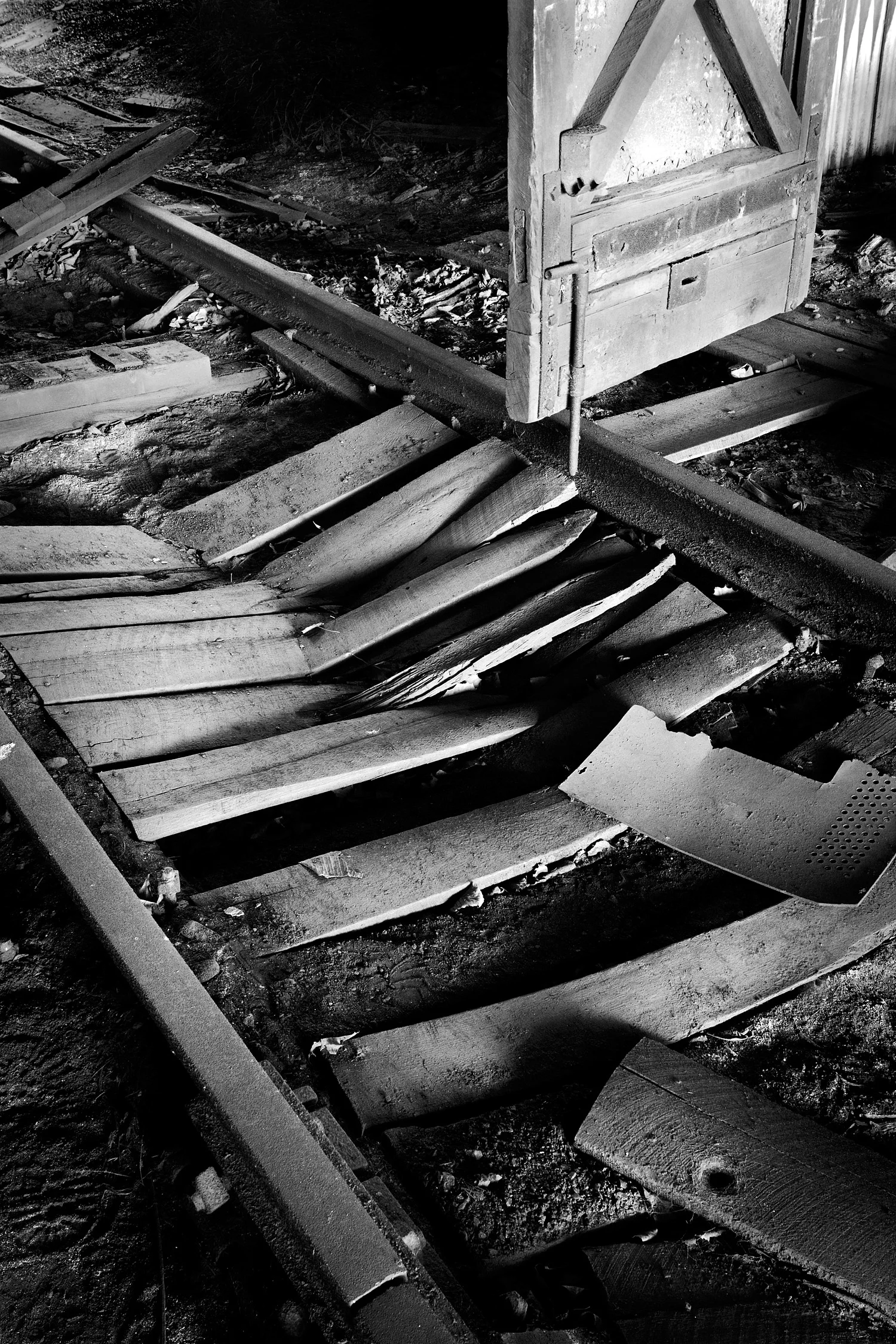 07067106_acr_b&w.jpg