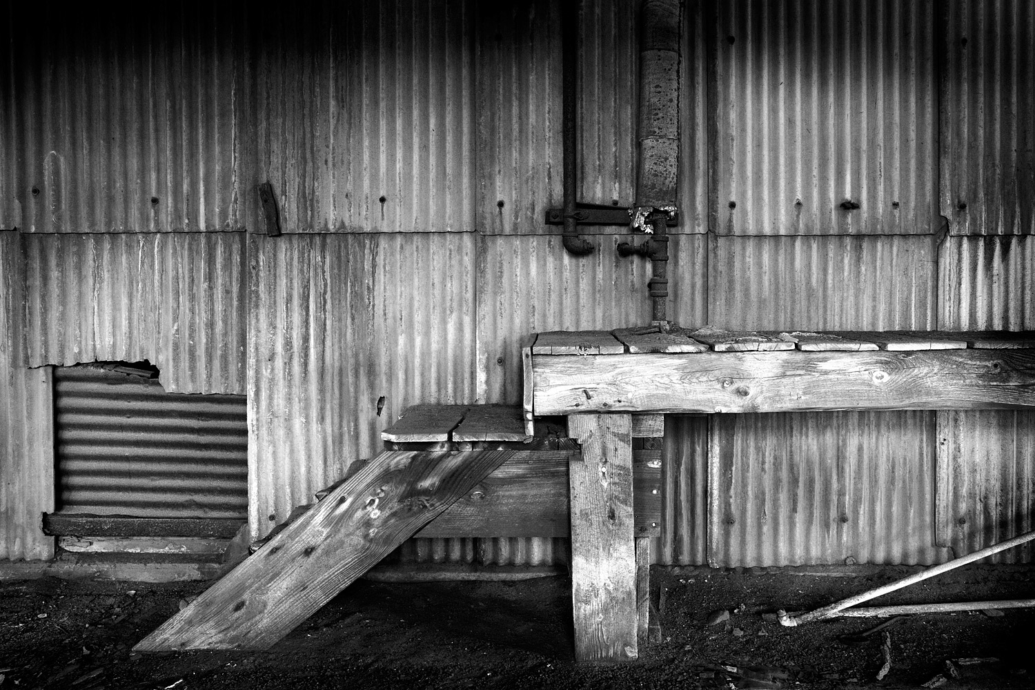 07067089_acr_b&w.jpg