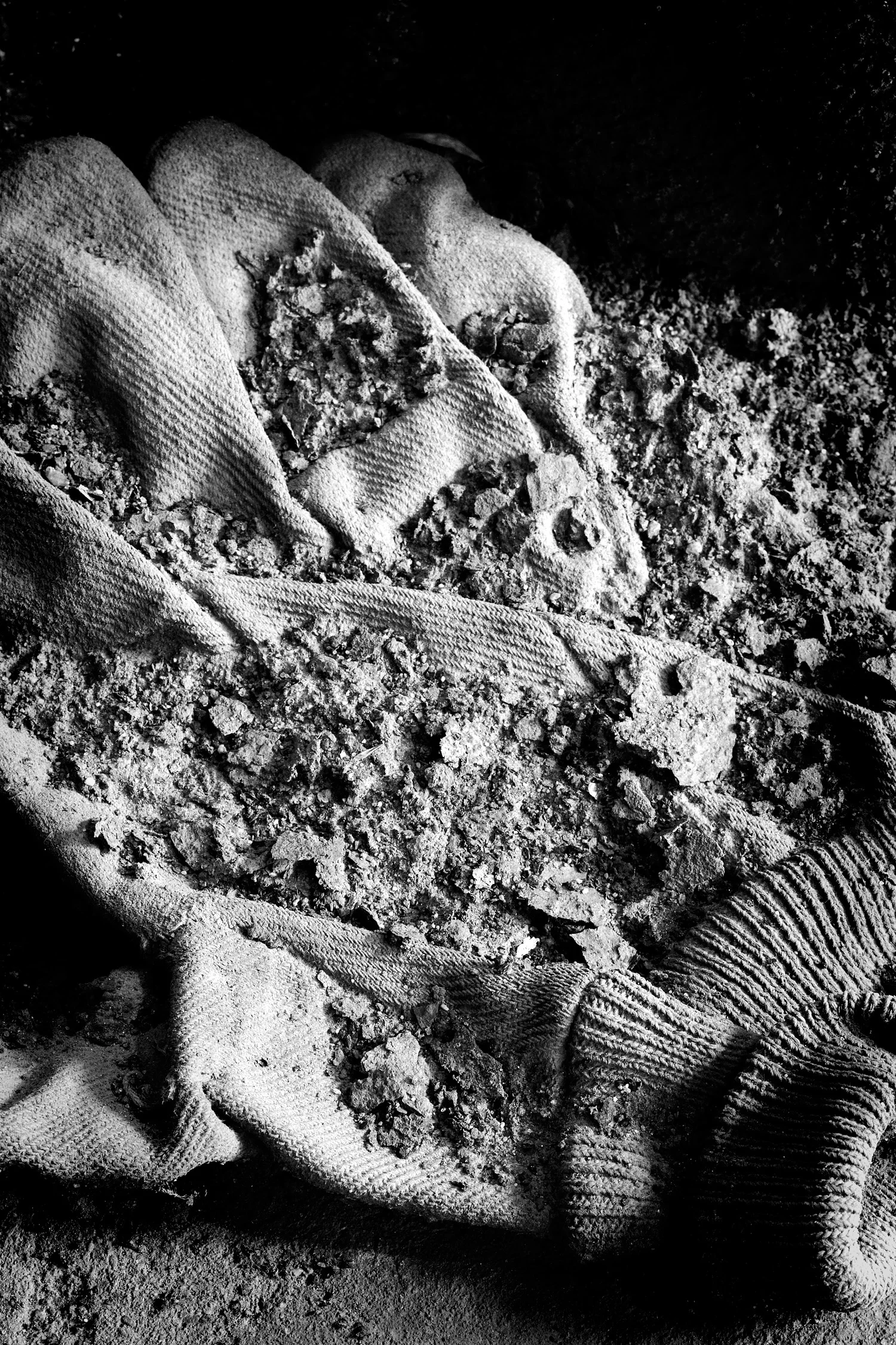 07067068_acr_b&w.jpg