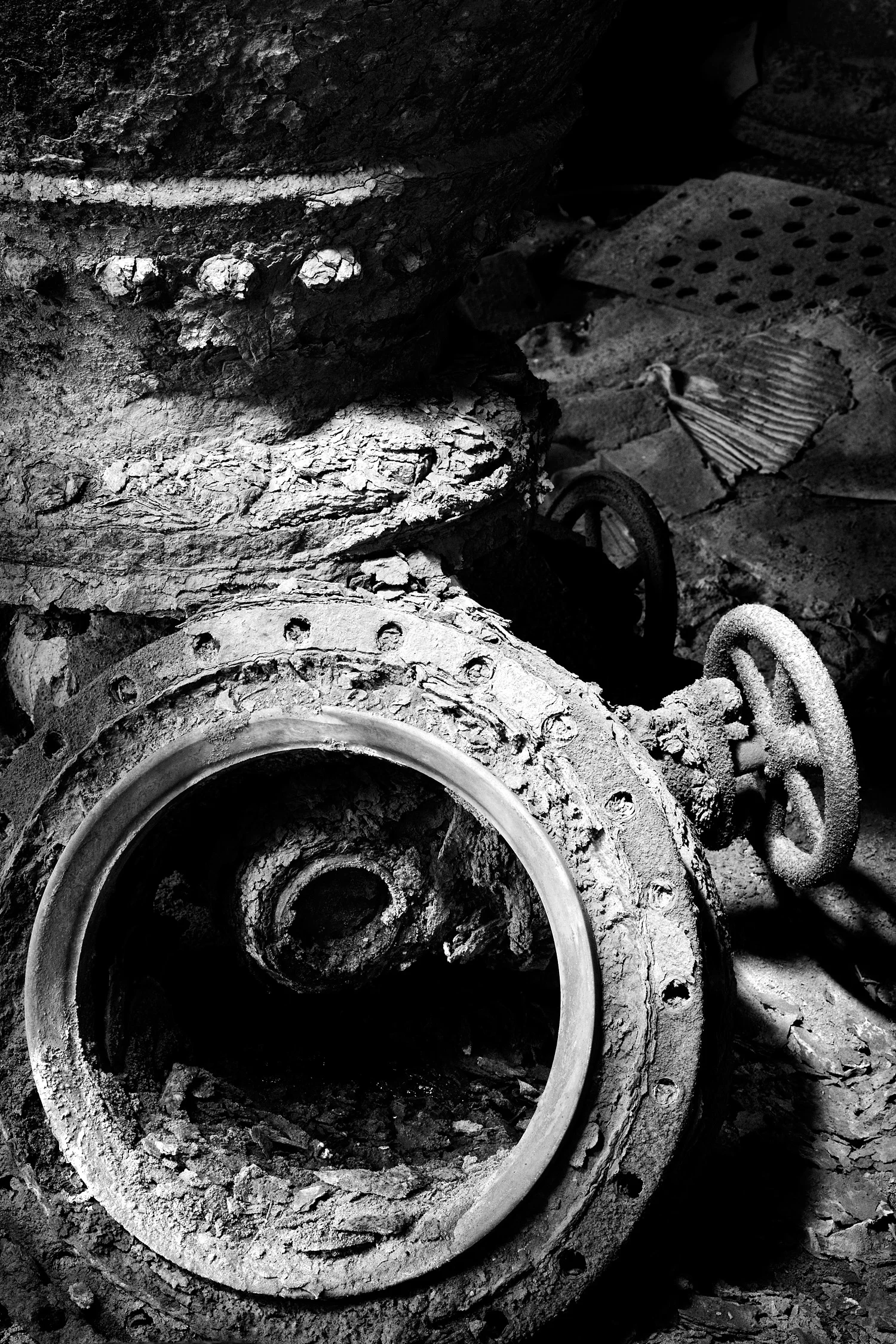 07067066_acr_b&w.jpg