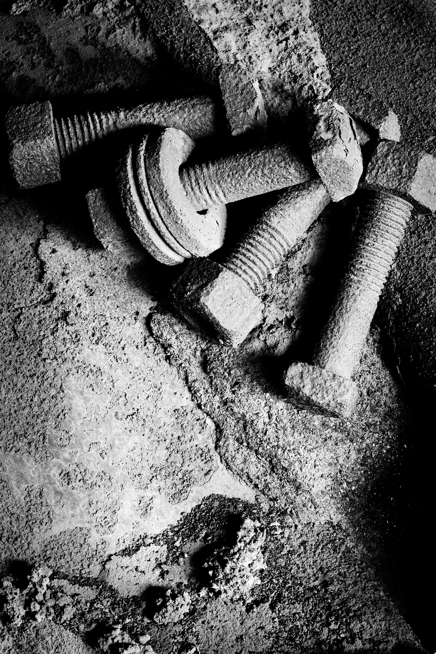 07067071_acr_b&w.jpg
