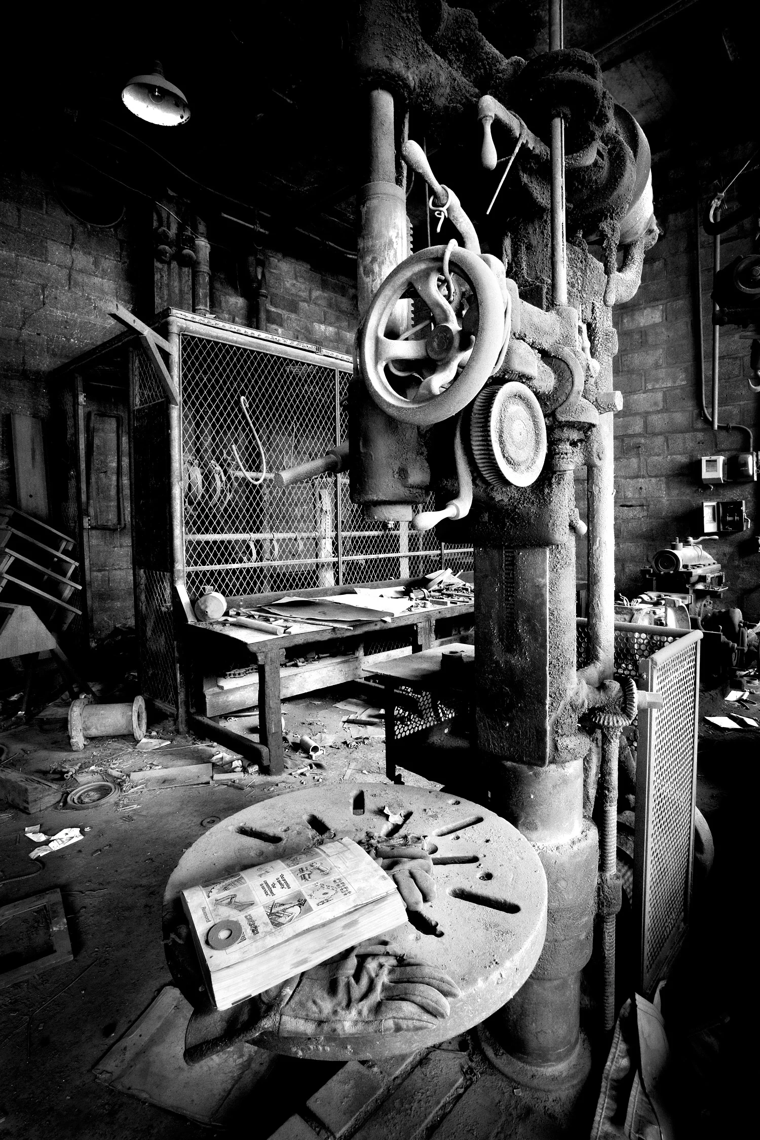 07067037_acr_b&w.jpg