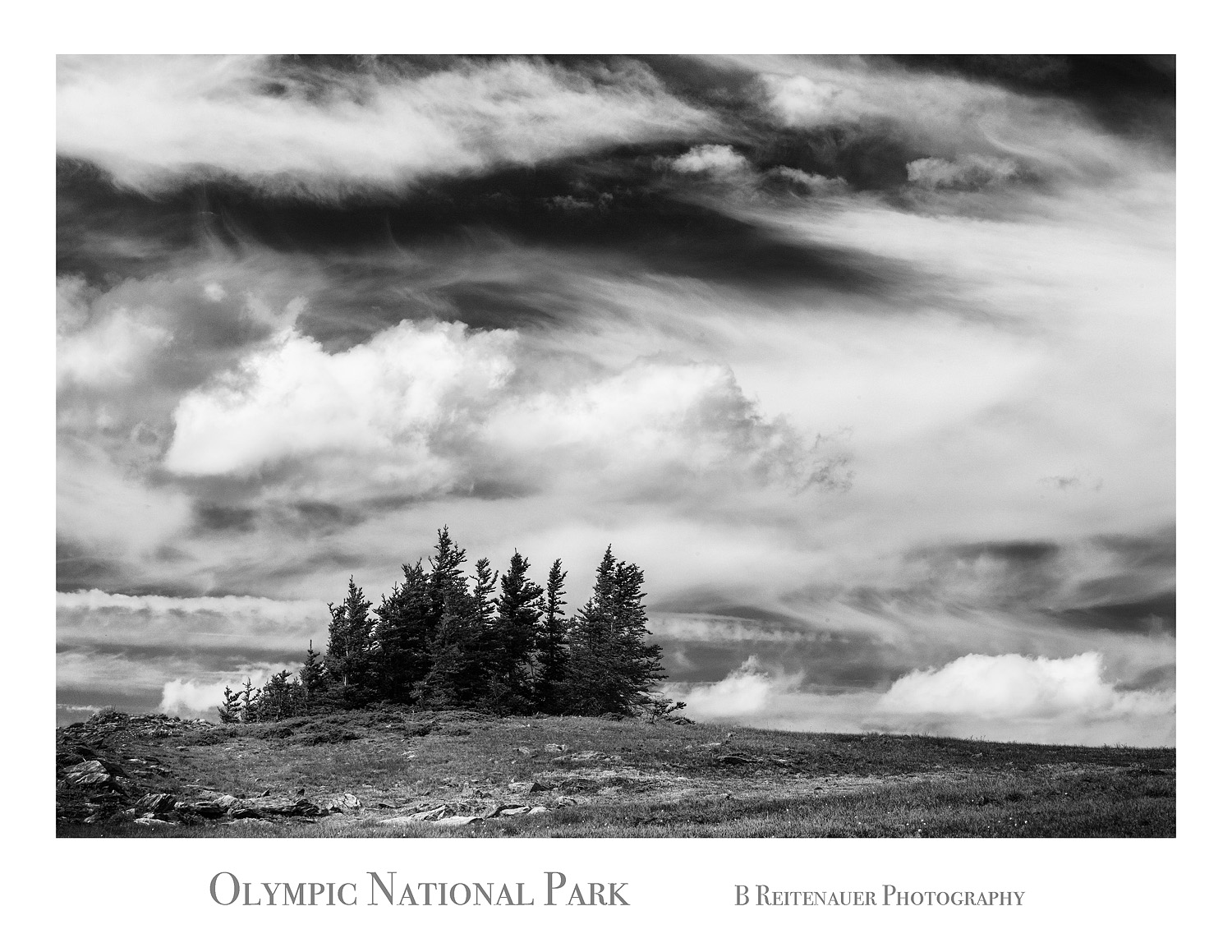 16070603_BW_FOLIO.jpg