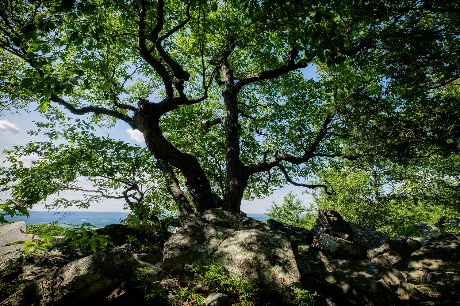 16063013_FujiXT1_acr_webglow.jpg