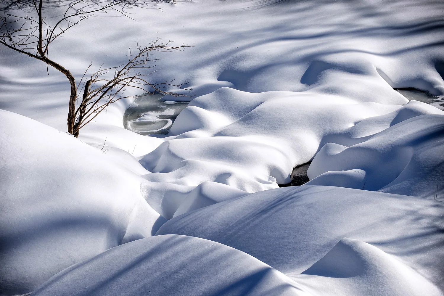 16012622_FujiXT1_acr_web.jpg