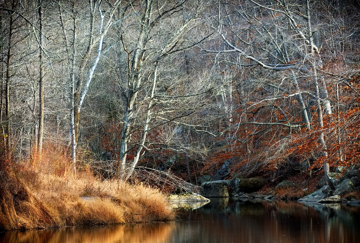 16120445_FujiXT2_IR_web.jpg