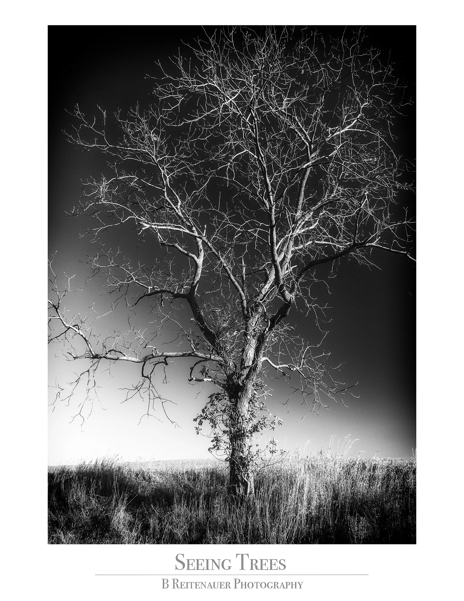 IMG_0986_FOLIO.jpg