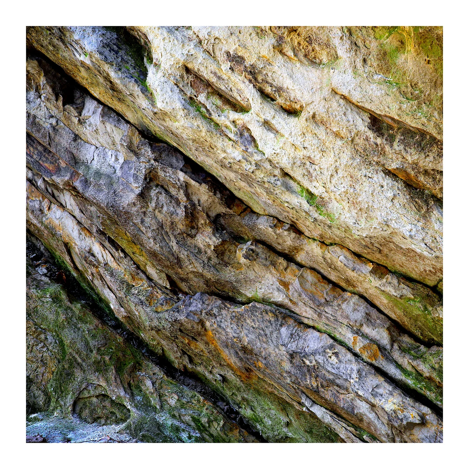04030841_c1_square_web.jpg