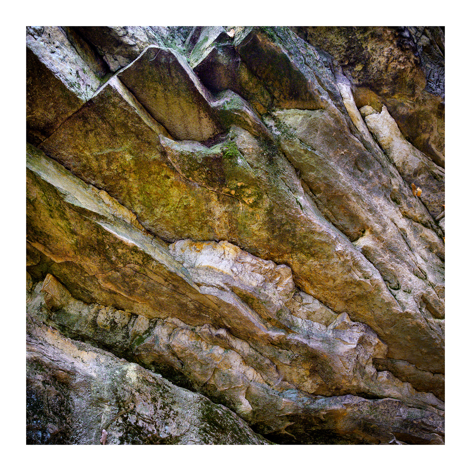 15102025_FujiXT1_IXacr_square_web.jpg