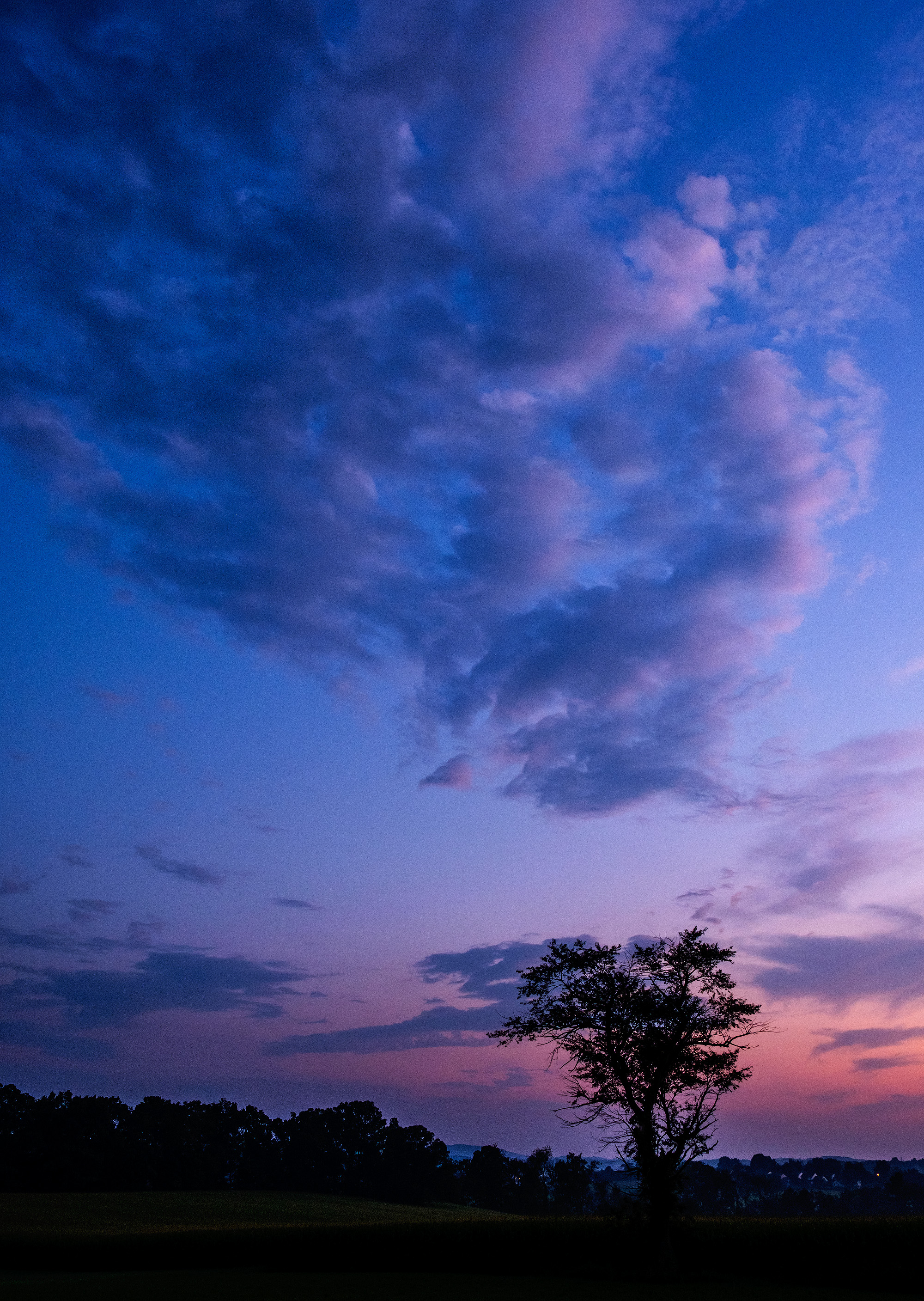 DSCF1003_acr_crop.jpg