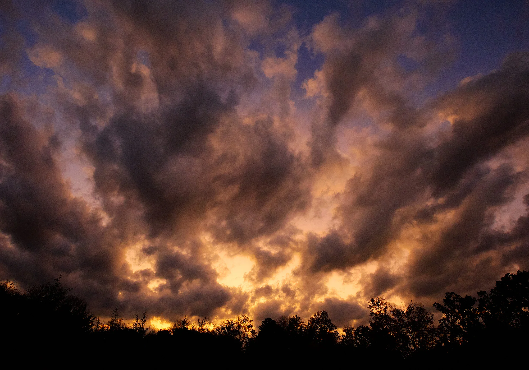 17101170_FujiXT2_IXacr_webglow_ALT.jpg