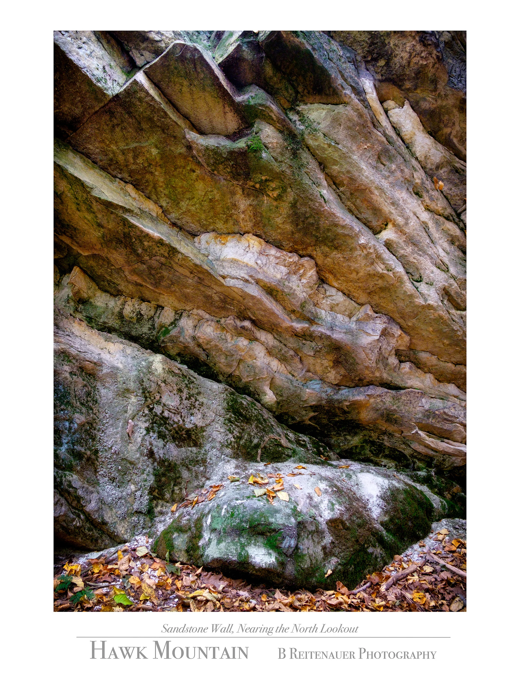 15102025_Folio.jpg