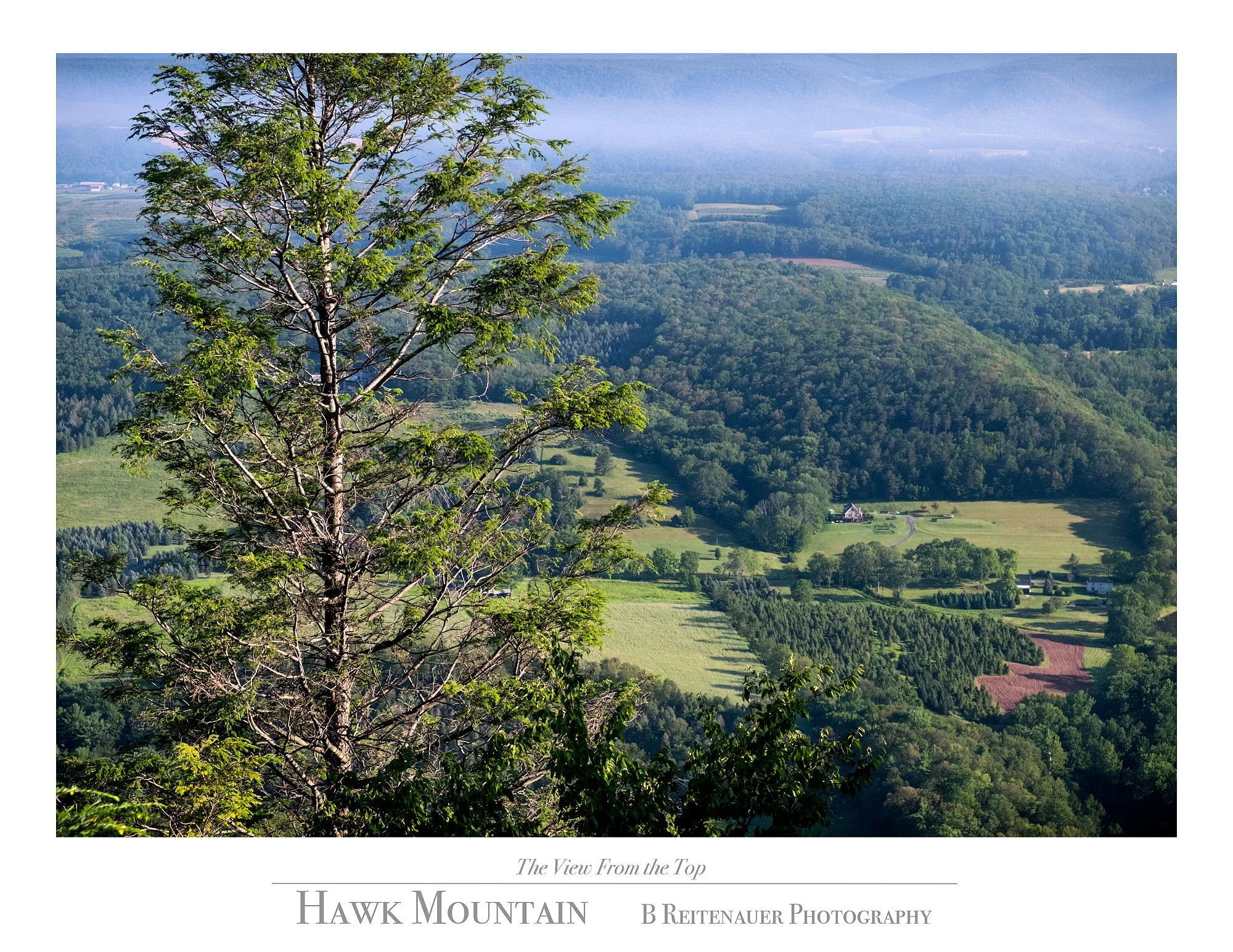 9 - 15071495 - The View From the Top.jpg