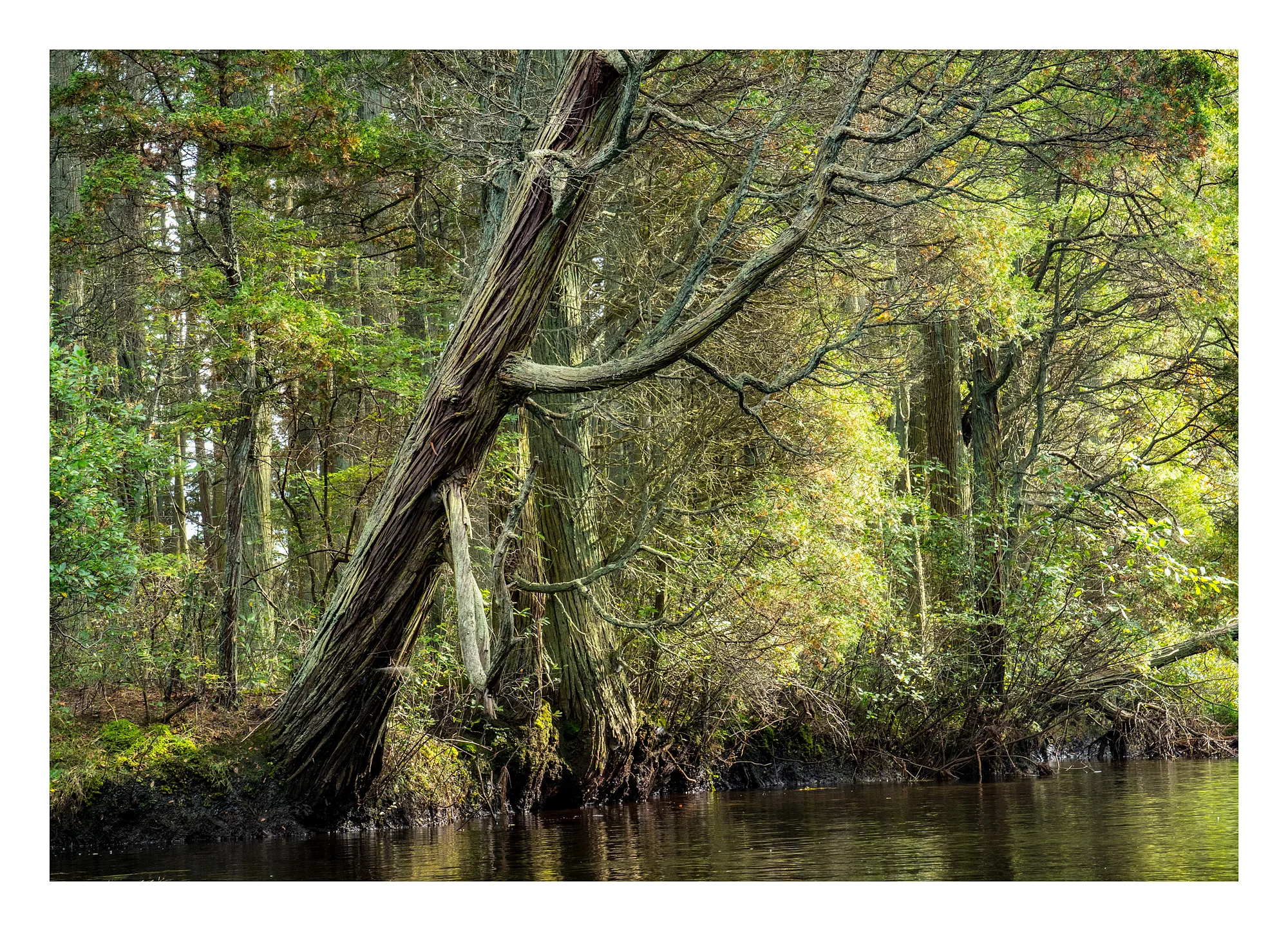 18101497_SonyA7iii_acr_webglow.jpg