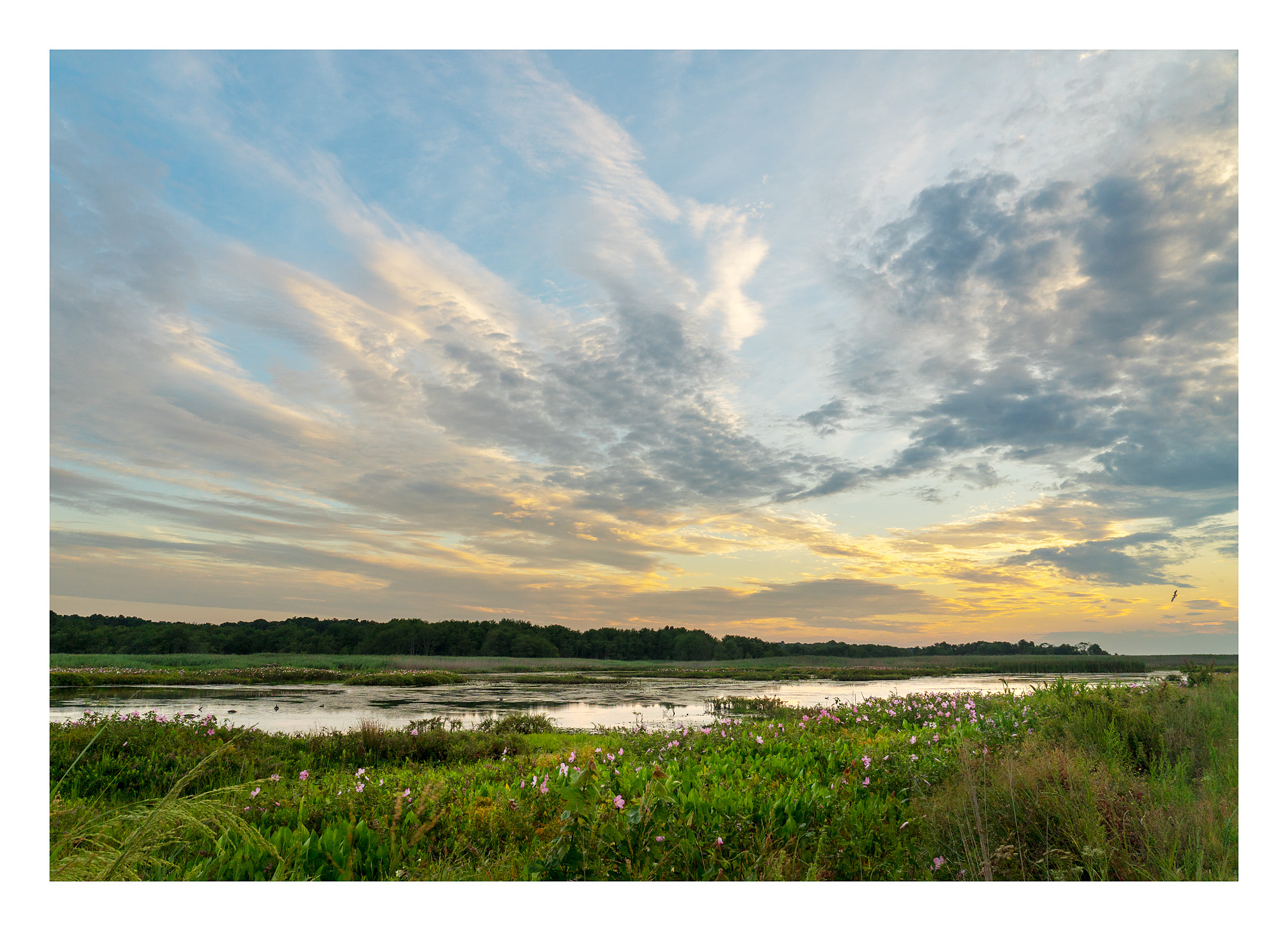 18080806_SonyA7iii_acr_web.jpg