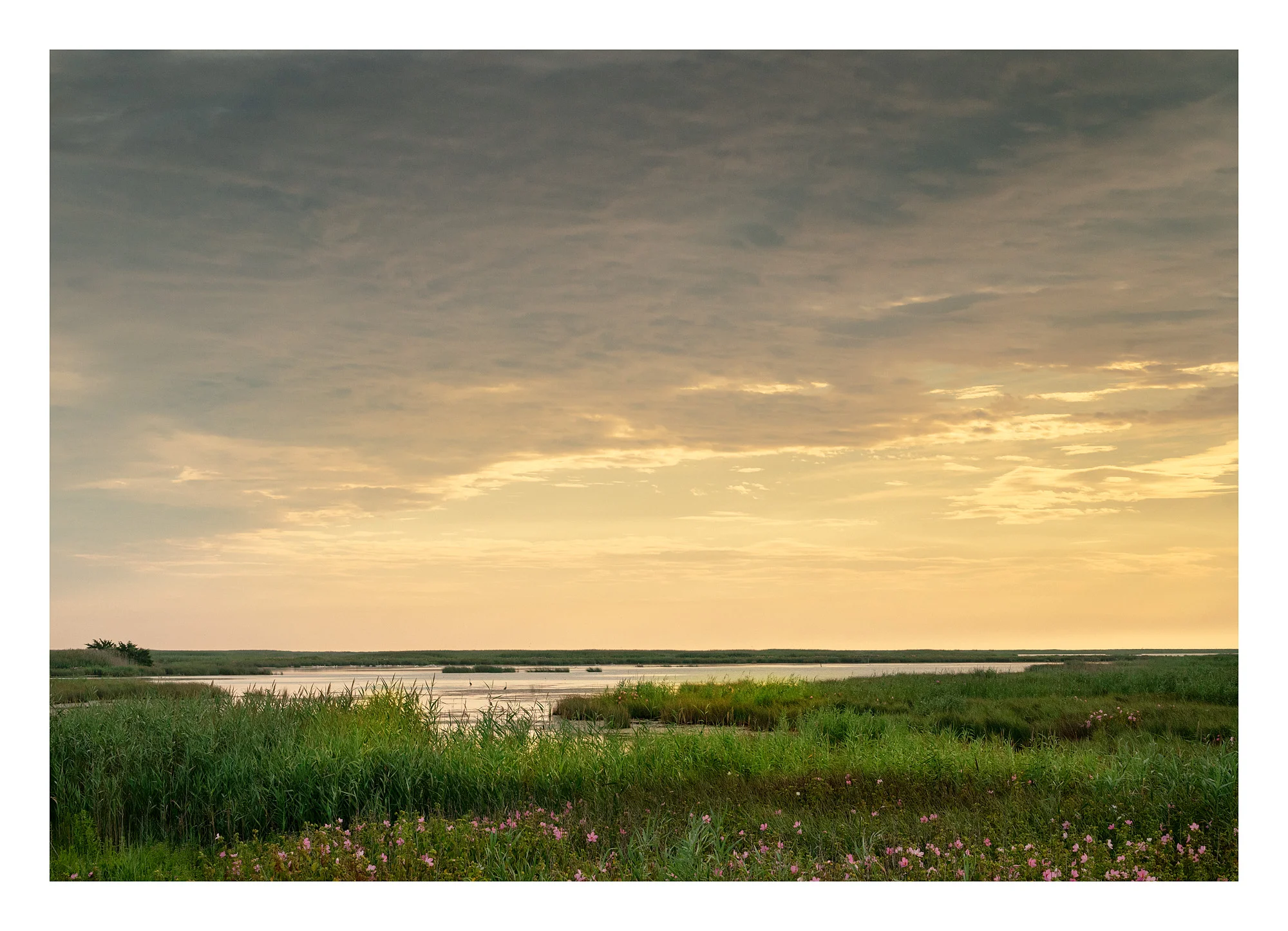 18080850_SonyA7iii_acr_web.jpg