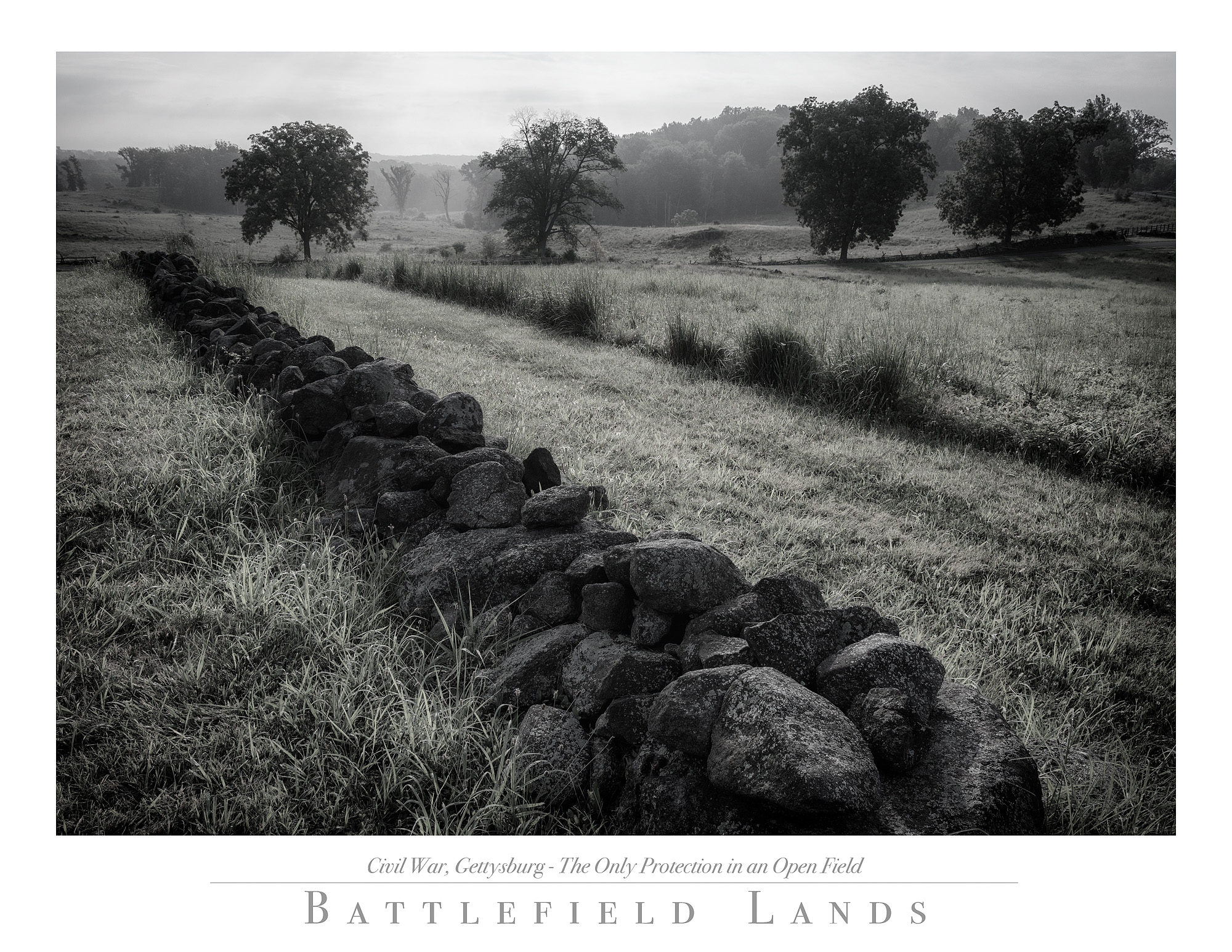 17070910_folio.jpg