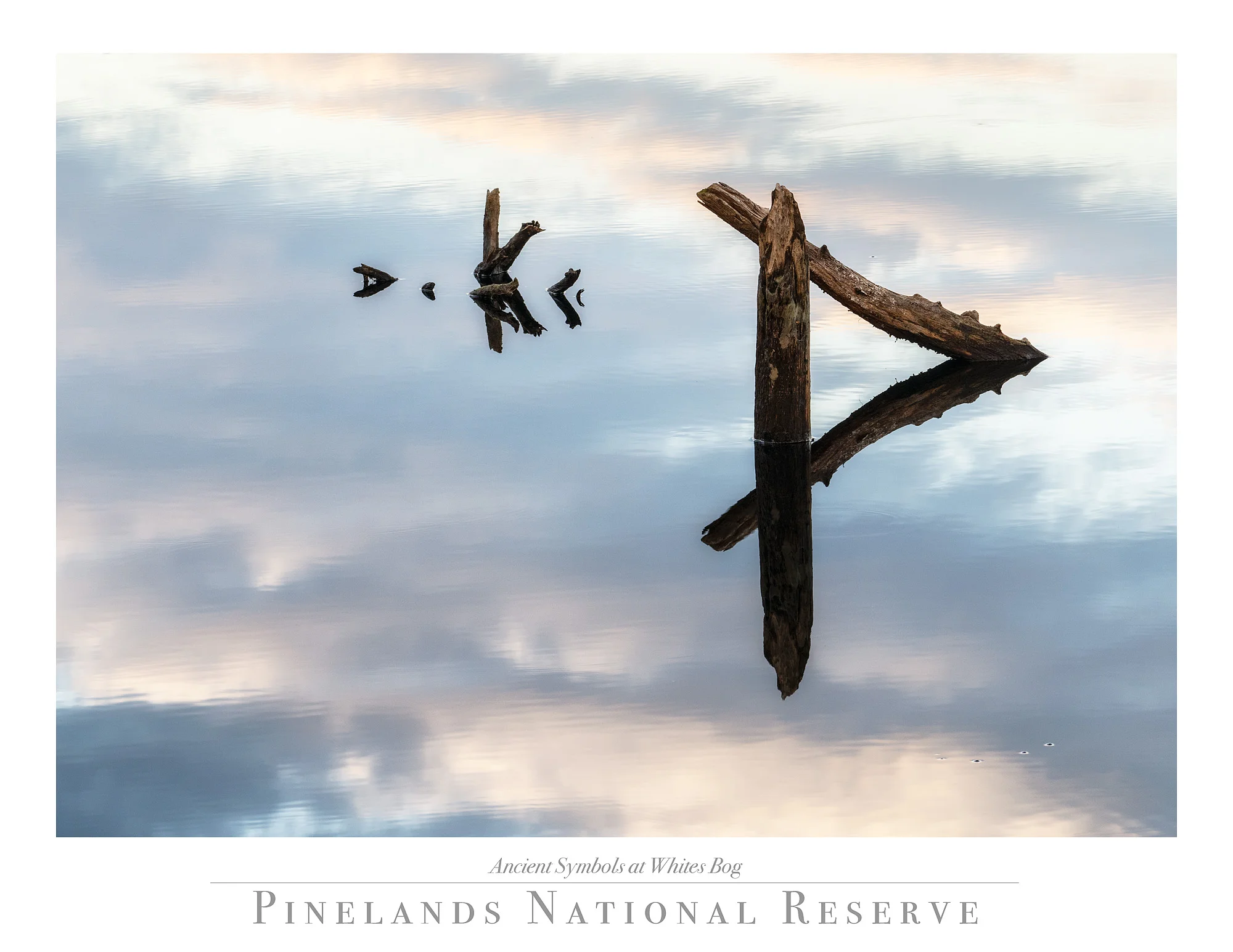 My First Year In The Pinelands