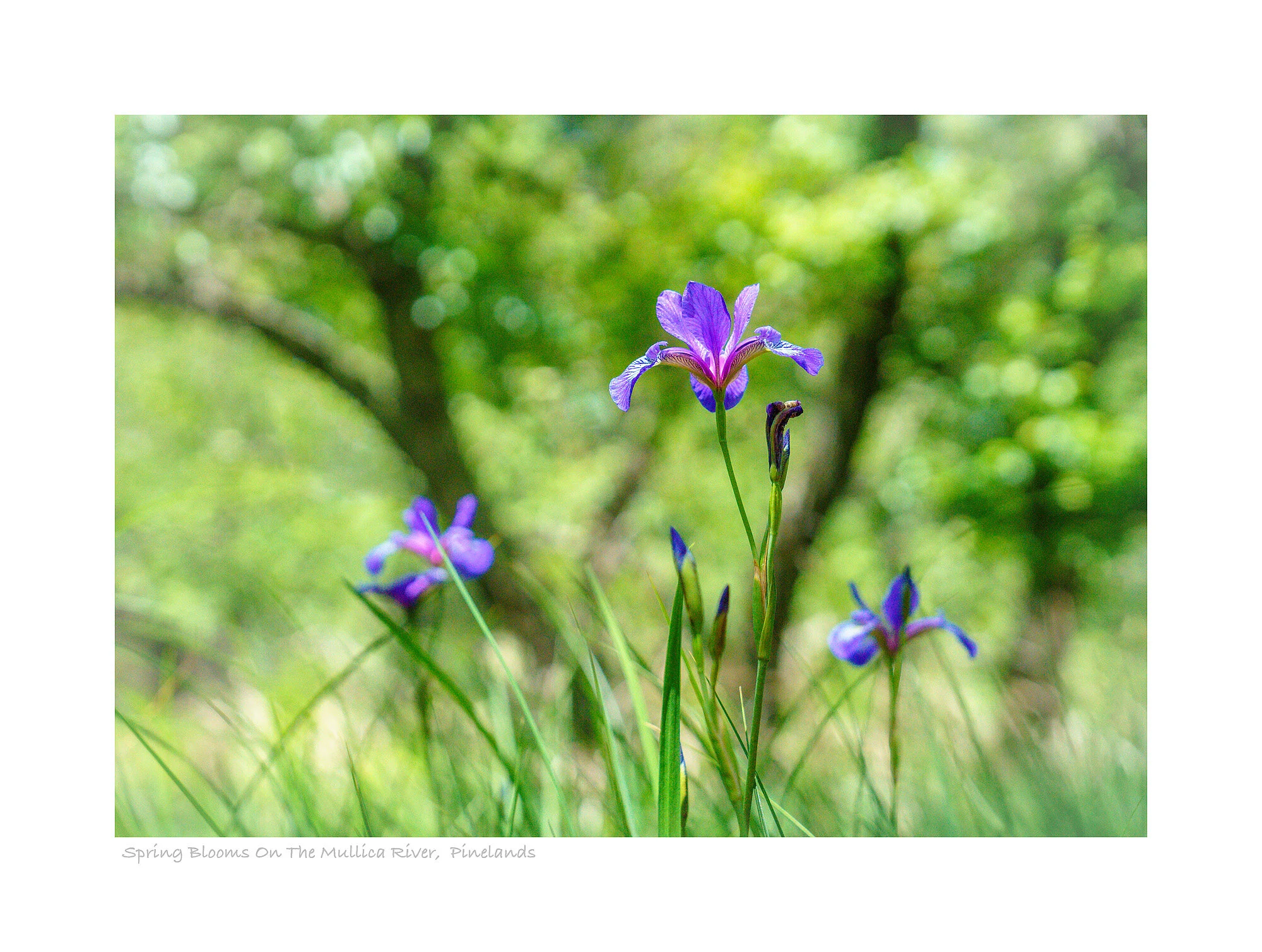 19052689_SonyA73_Master.jpg