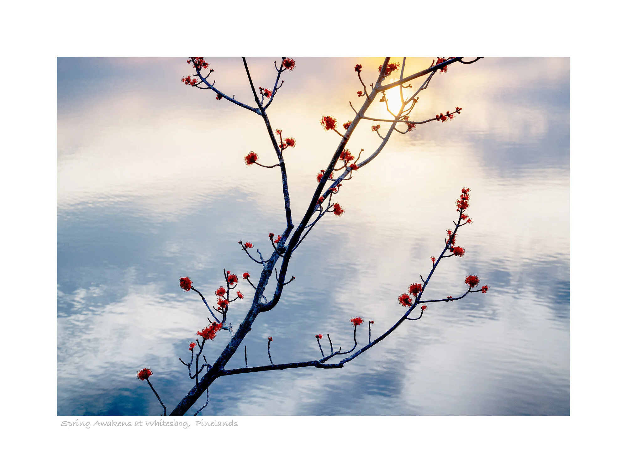 19030014_SonyA7Riii_acr_web.jpg