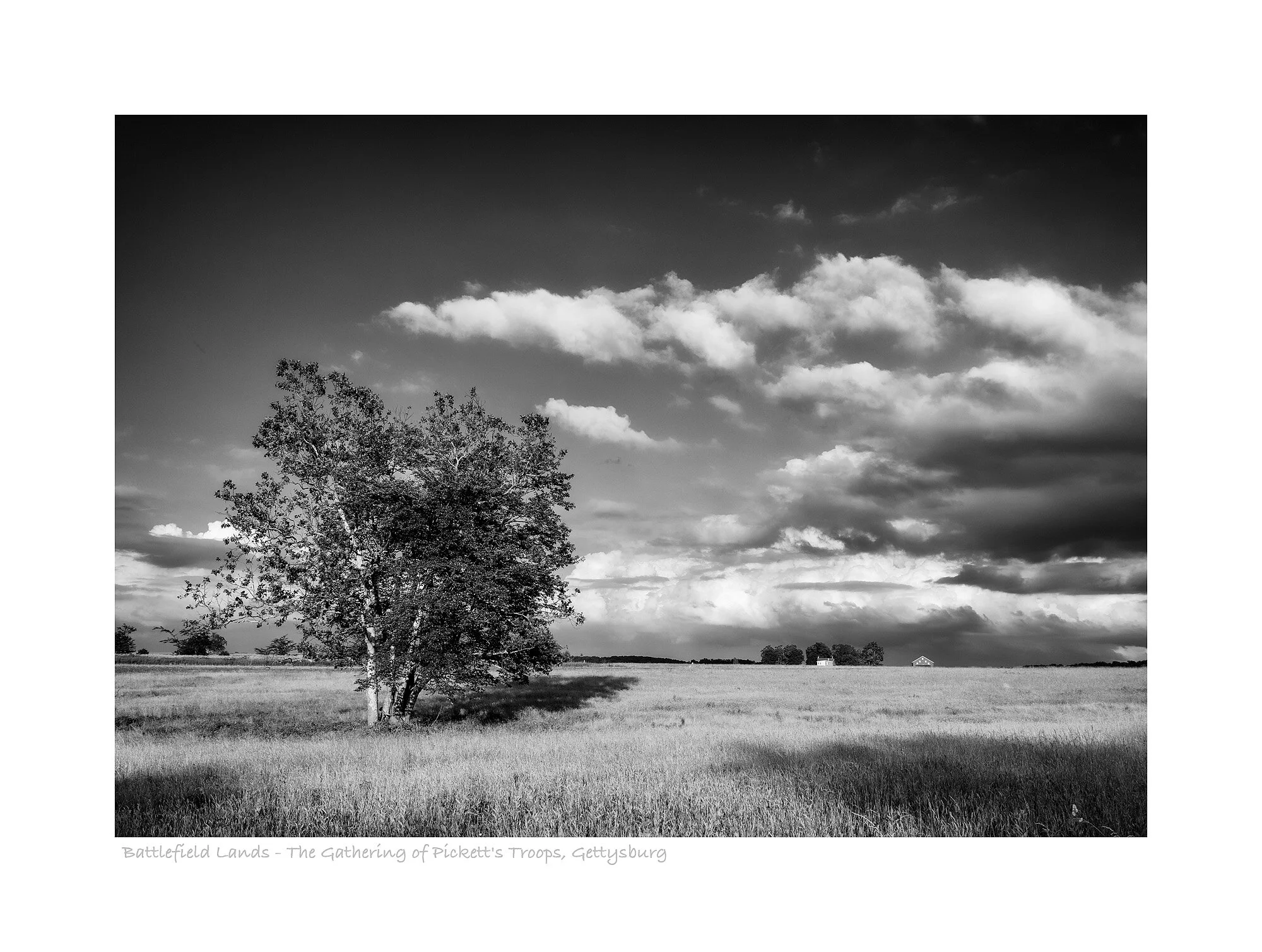 17060656_acr_bw_webglow.jpg