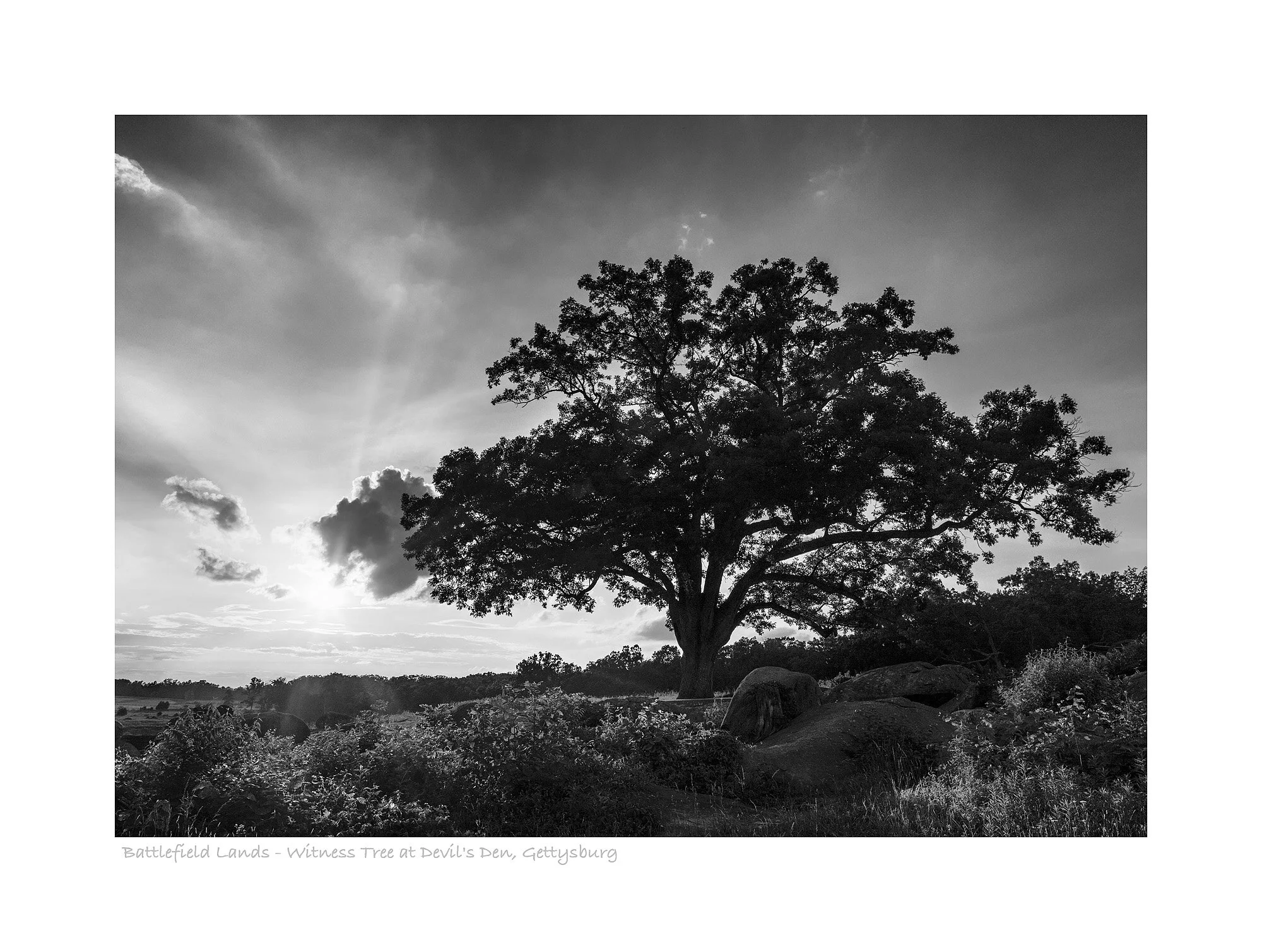 17060675_acr_bw_webglow.jpg